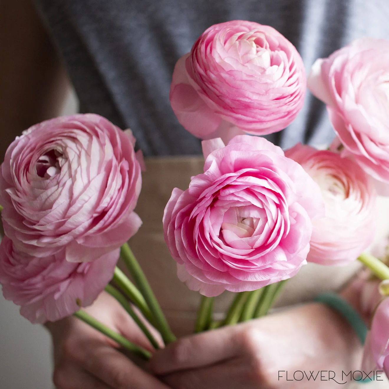 Light Pink Ranunculus Flower - Image 5
