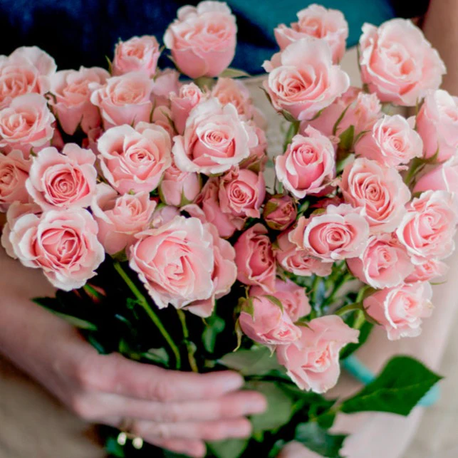 Light Pink Spray Roses - Image 6