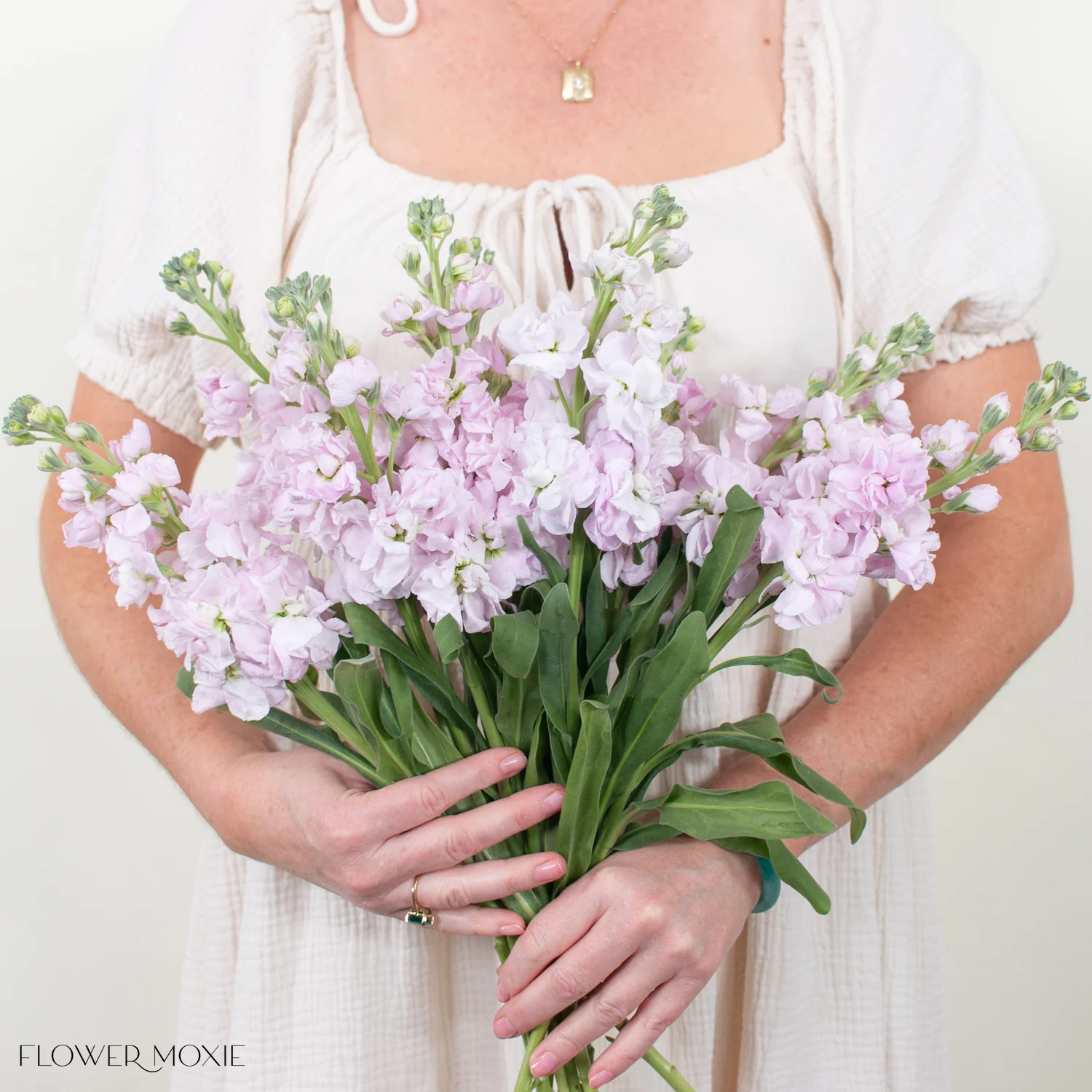 Light Pink Stock Flower - Image 2
