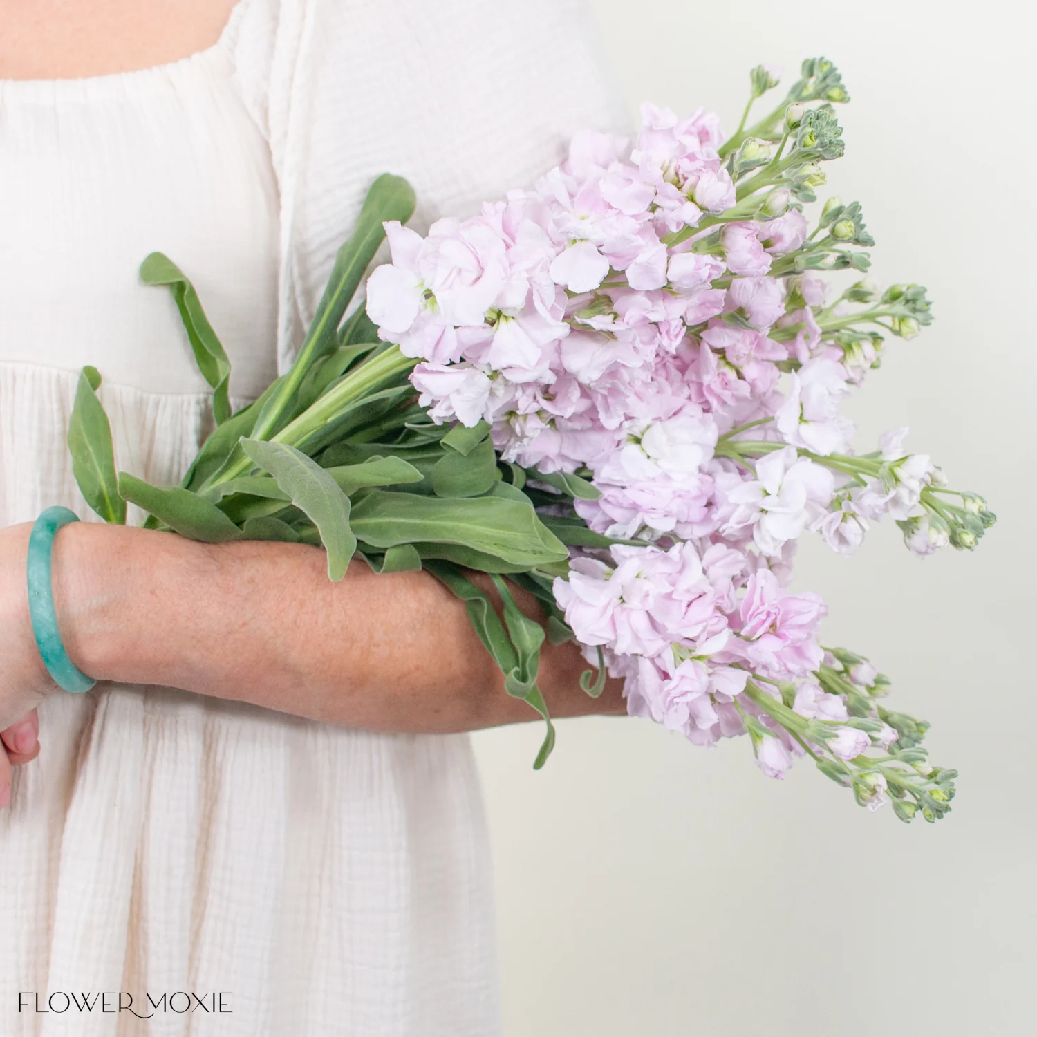 Light Pink Stock Flower - Image 3