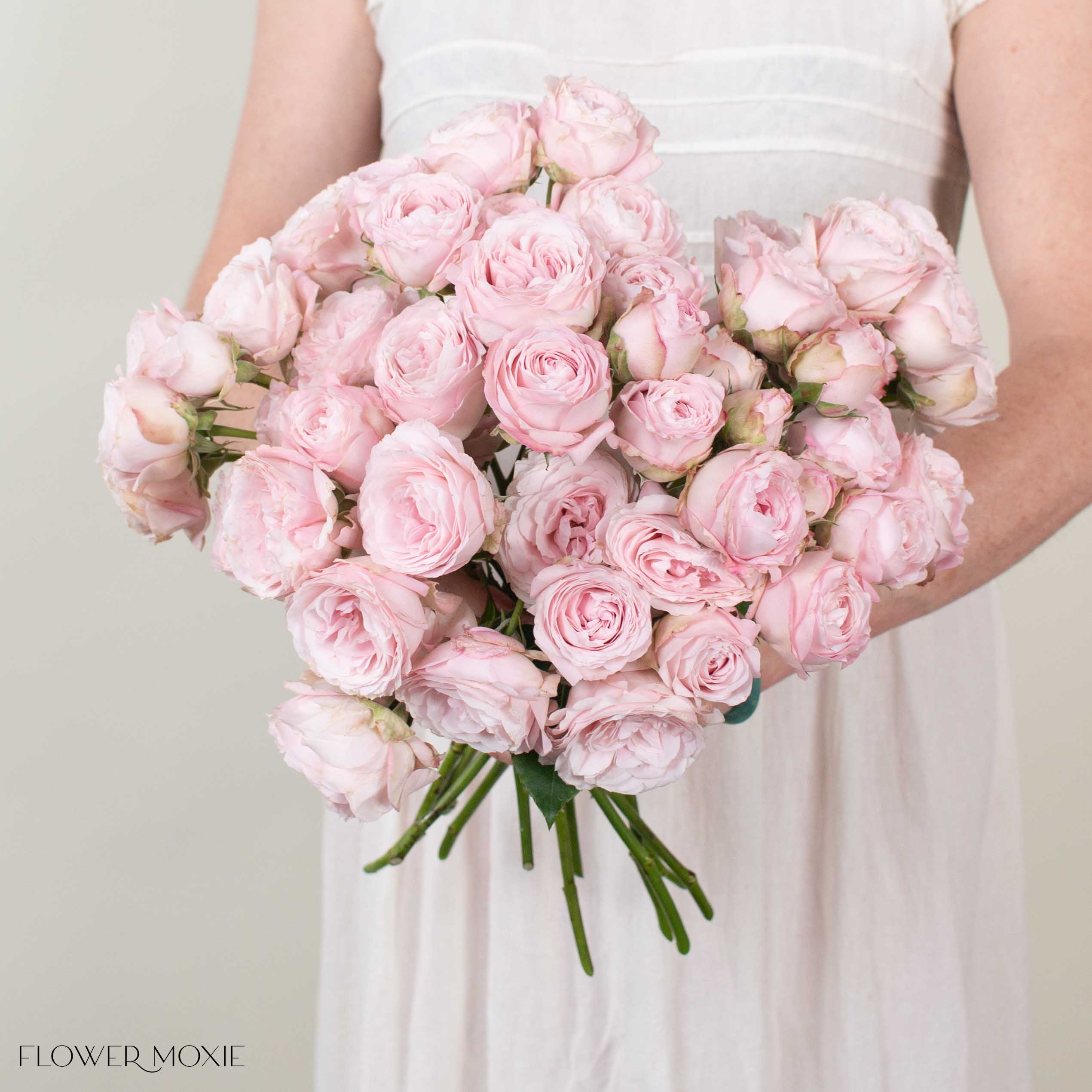 Light Pink Wedding Rosever Spray Garden Roses