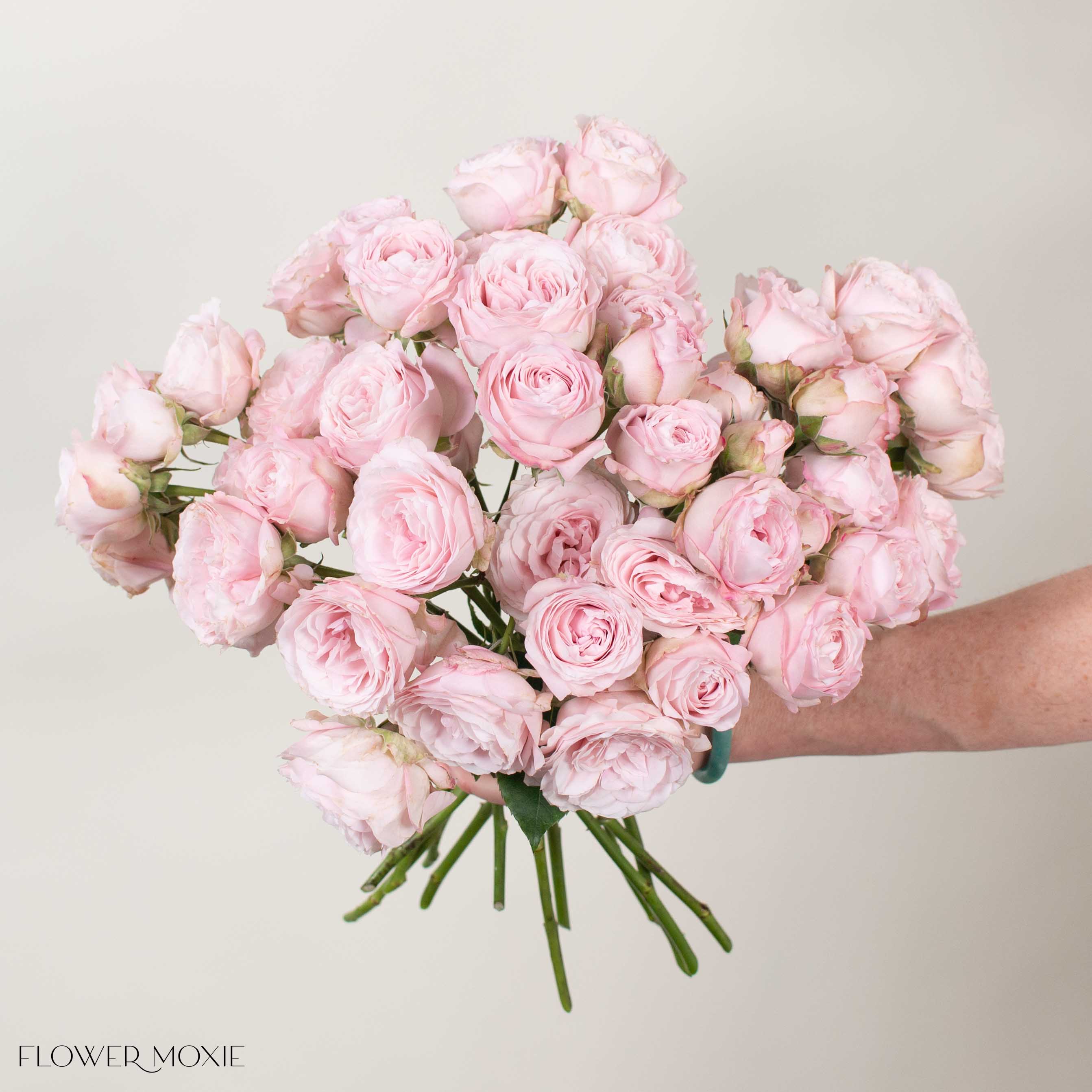 Light Pink Wedding Rosever Spray Garden Roses - Image 2