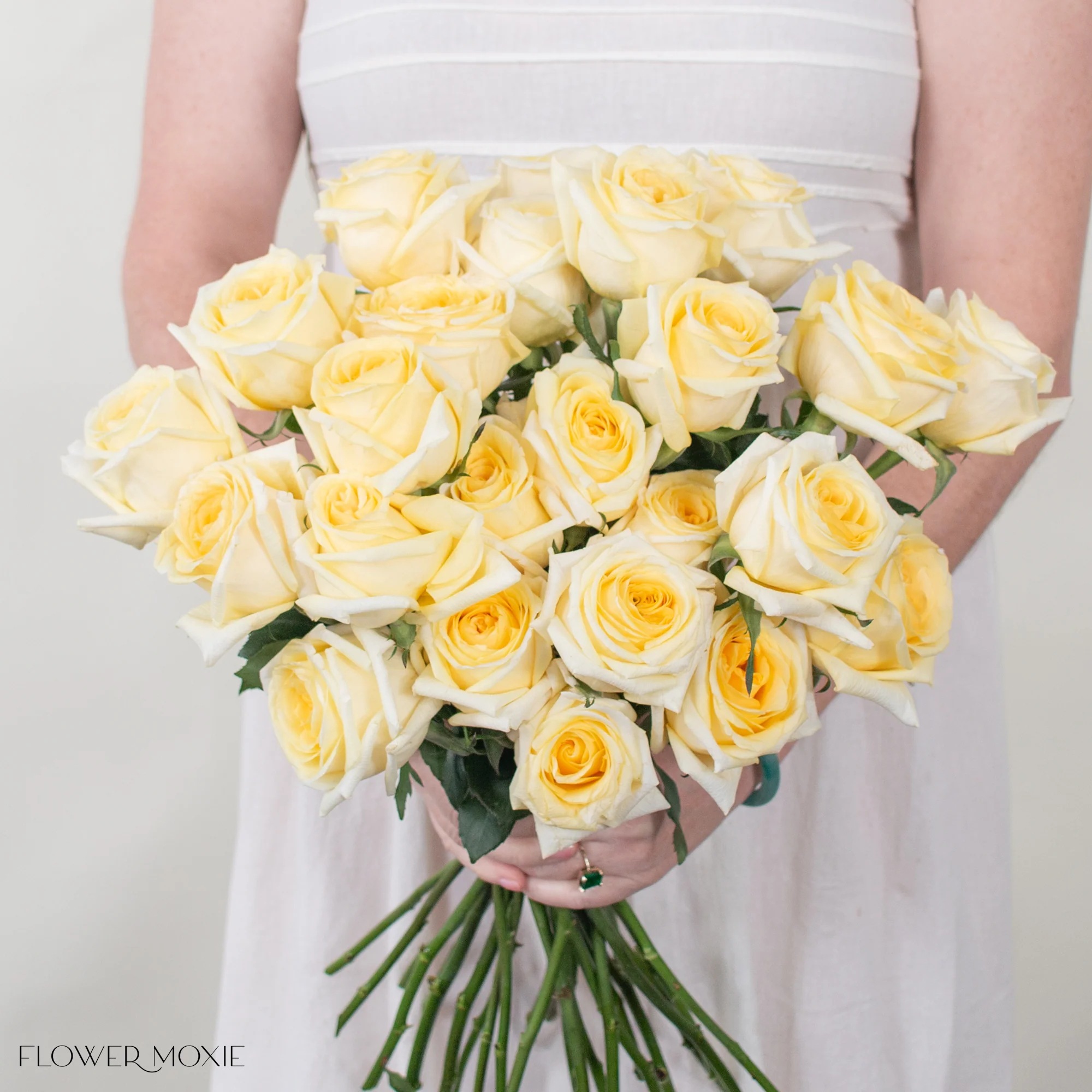 Light Yellow Carina Rose - Image 2