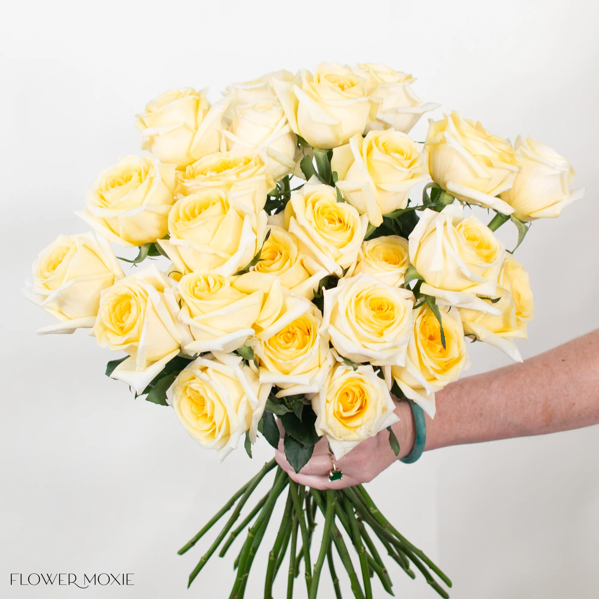 Light Yellow Carina Rose - Image 3