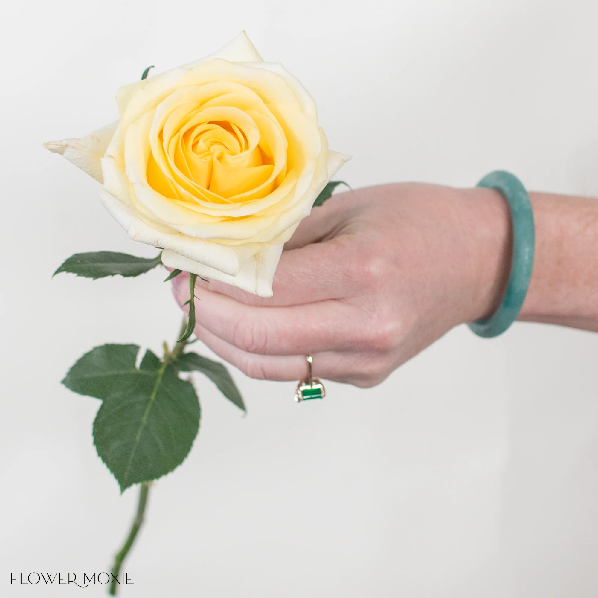Light Yellow Carina Rose - Image 4