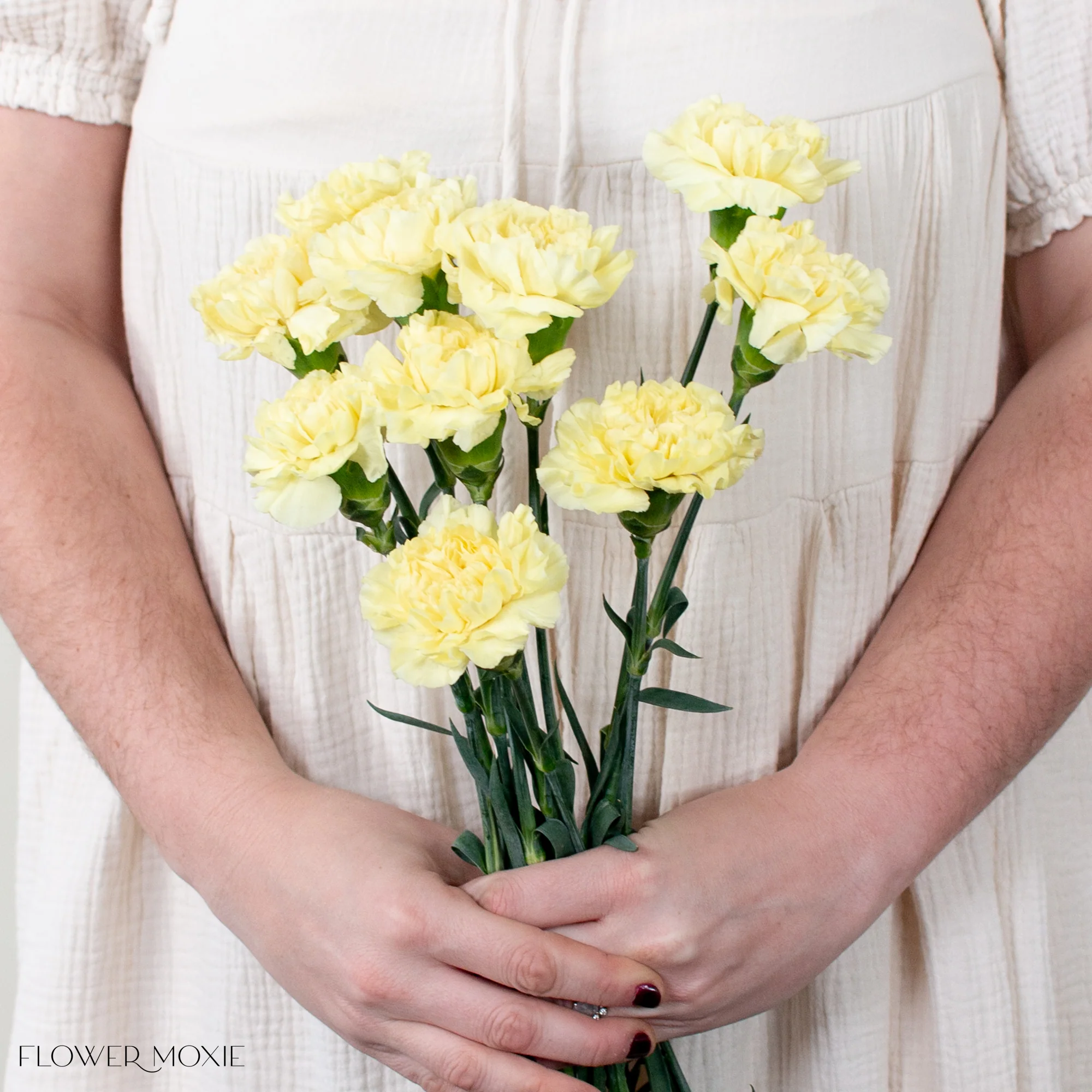 Yellow Carnation Flower - Image 6