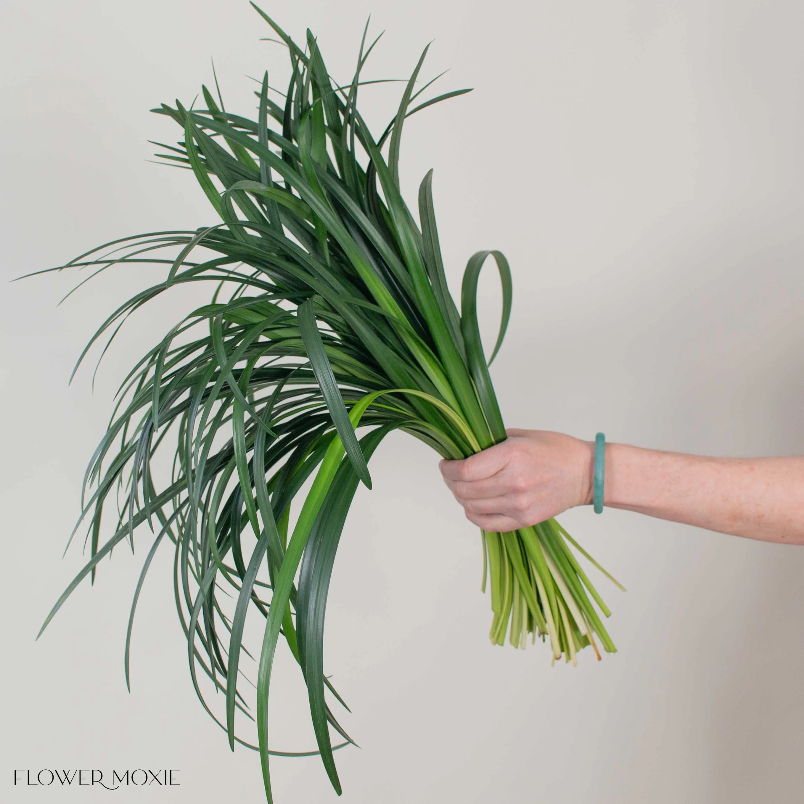 Lily Grass Greenery - Image 2