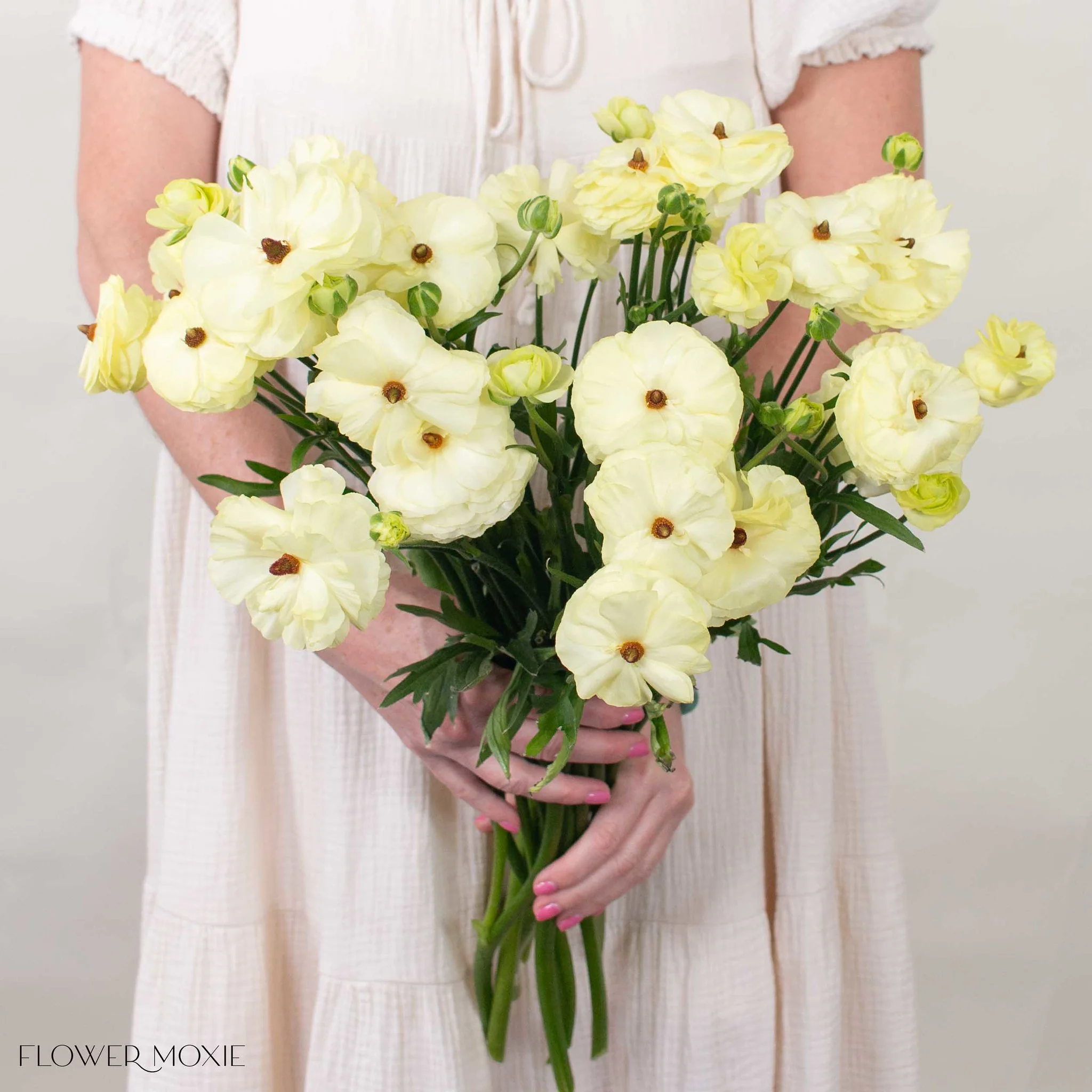 Limoncello Butterfly Ranunculus