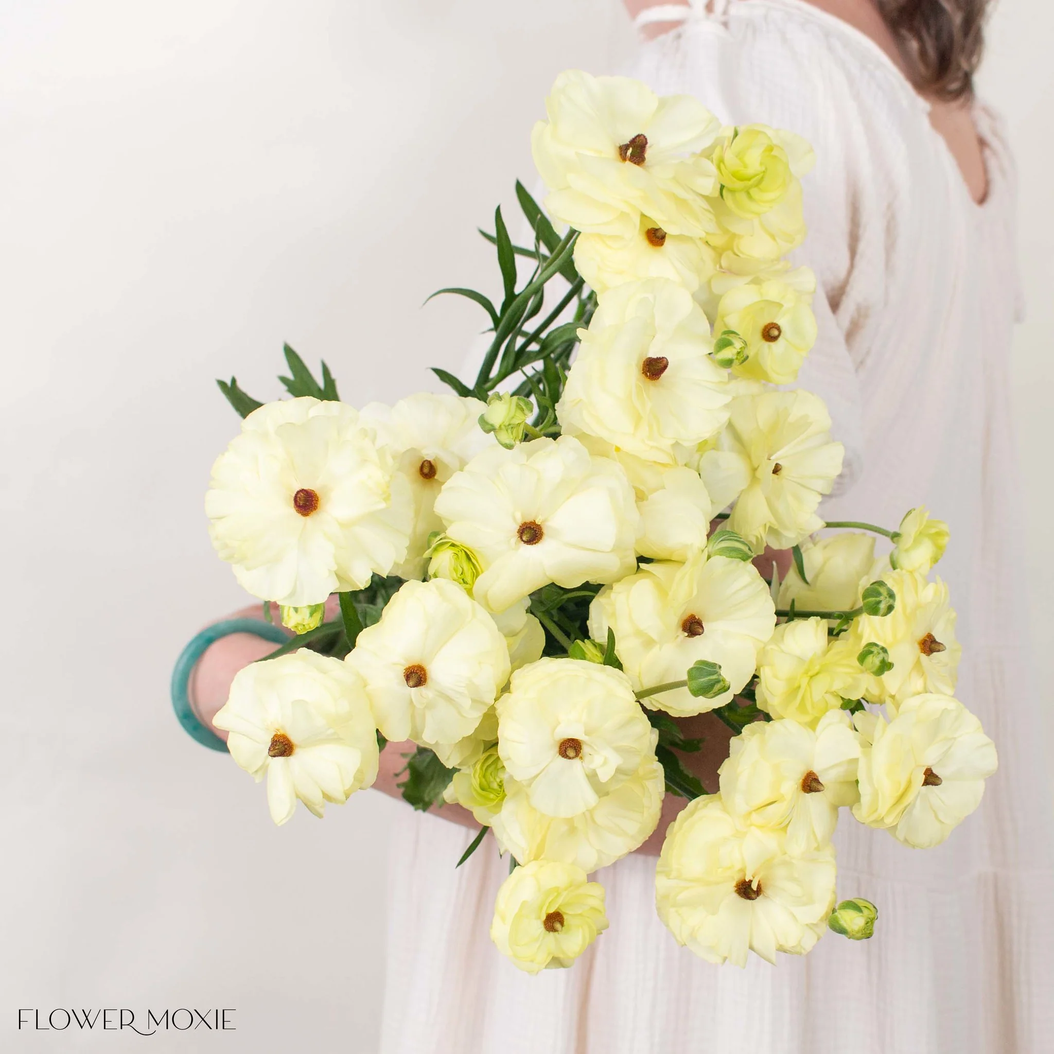 Limoncello Butterfly Ranunculus - Image 2