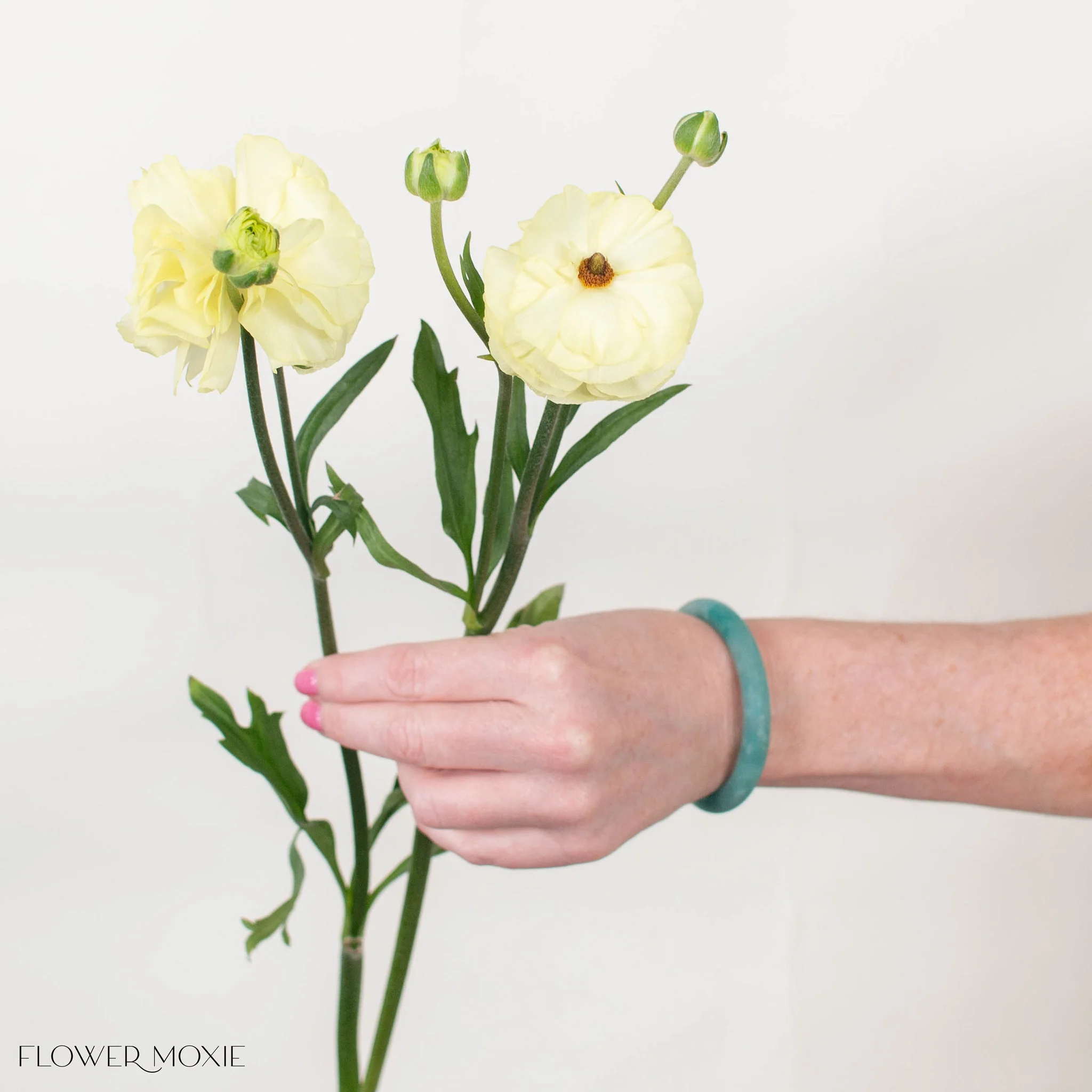 Limoncello Butterfly Ranunculus - Image 5
