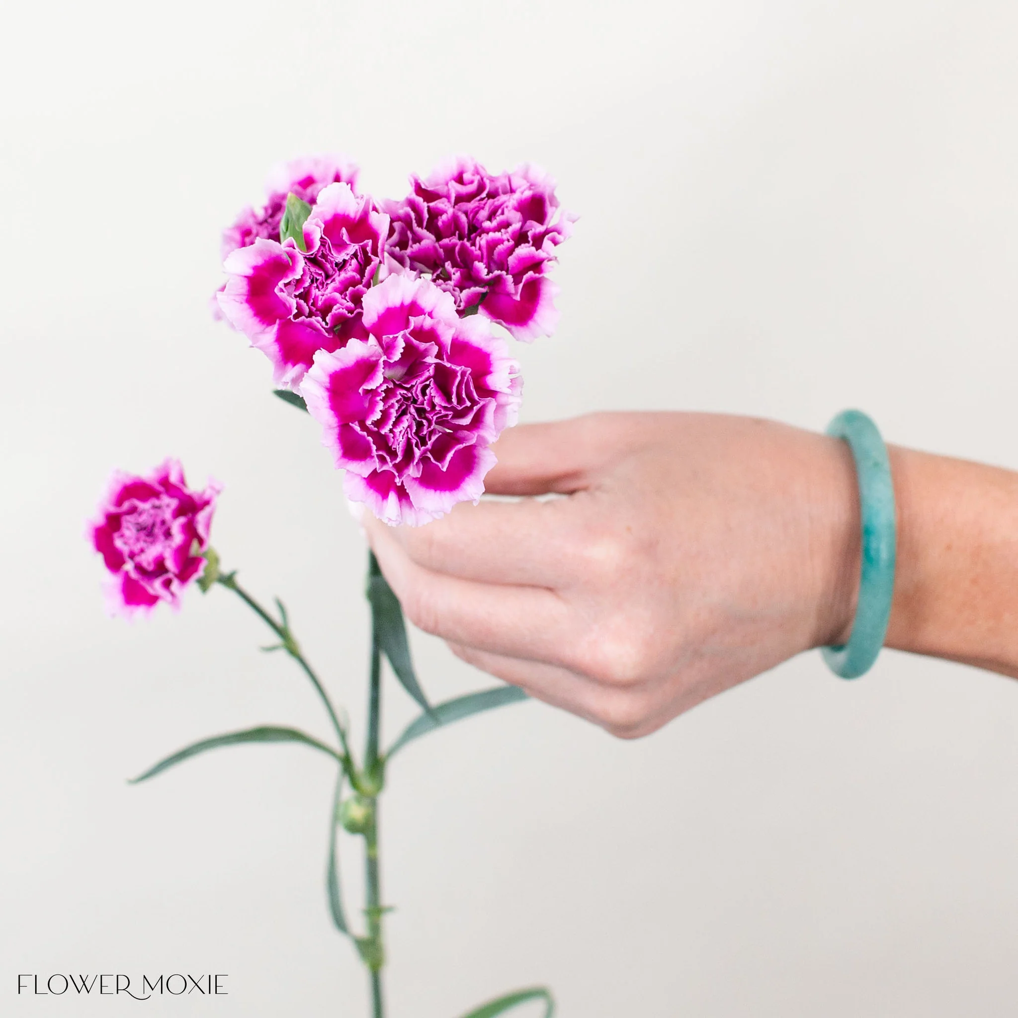 Purple Lavender Mini Carnation Flower - Image 3