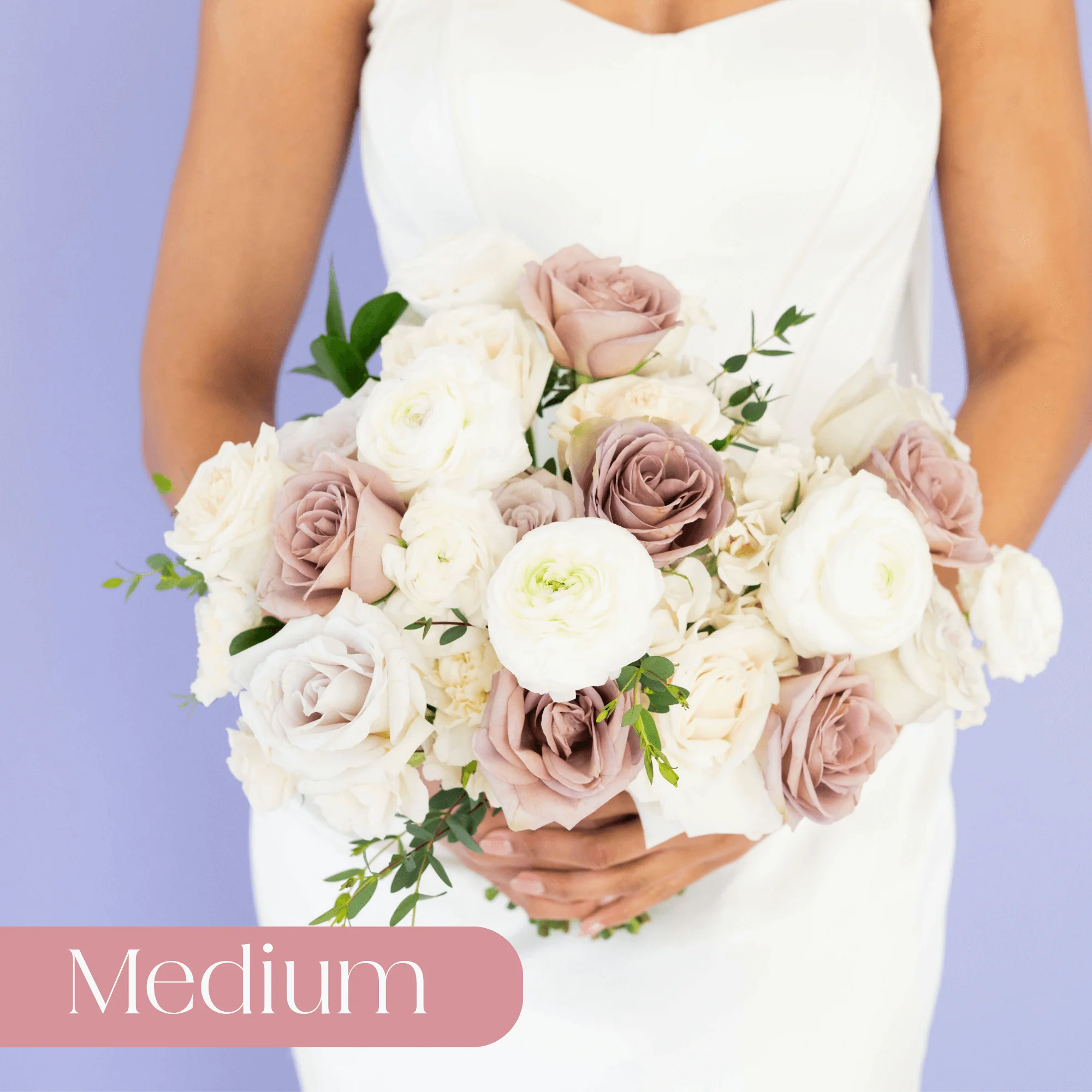 Mauve and Cream Premade Plus - Medium