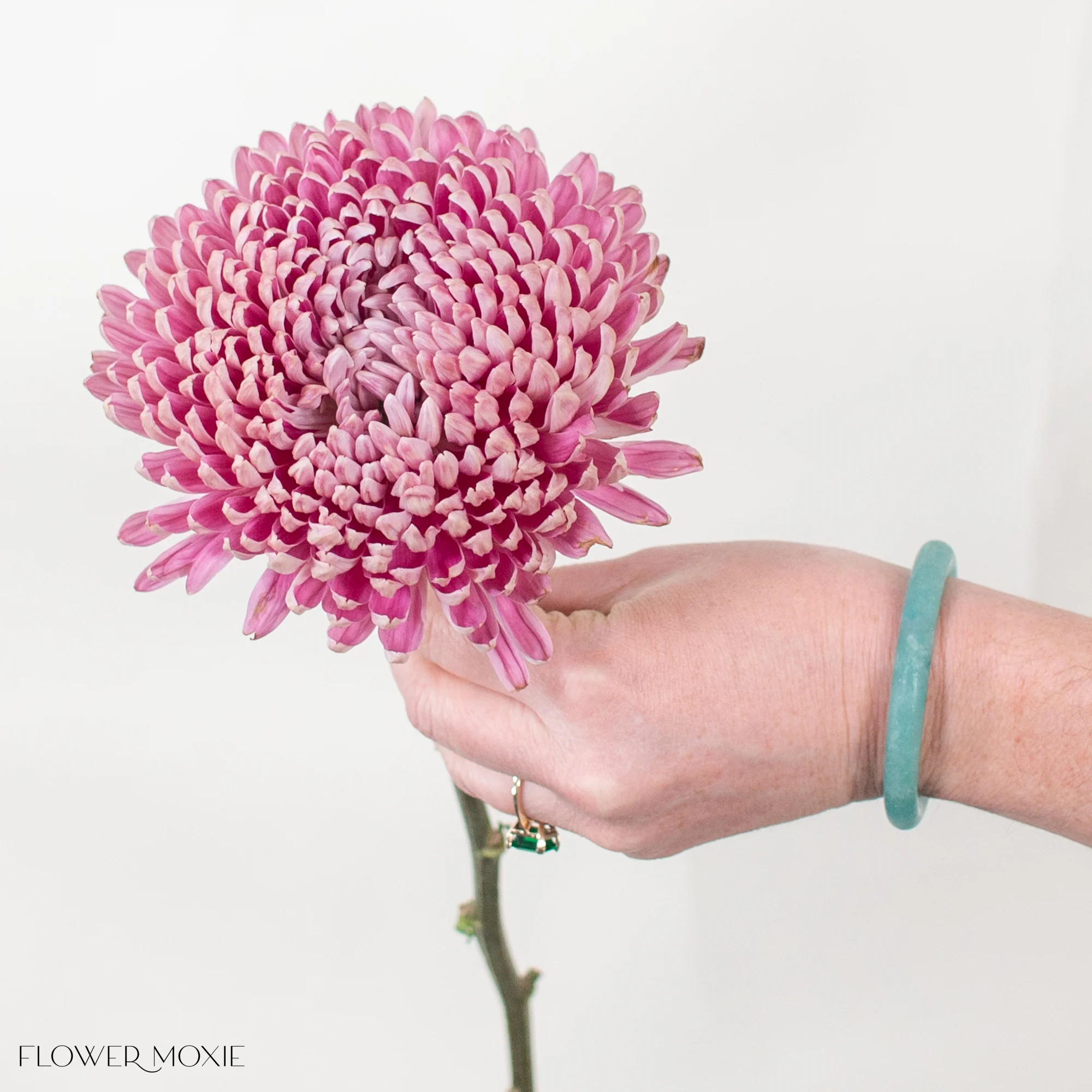Mauve Cremone Flower - Image 3