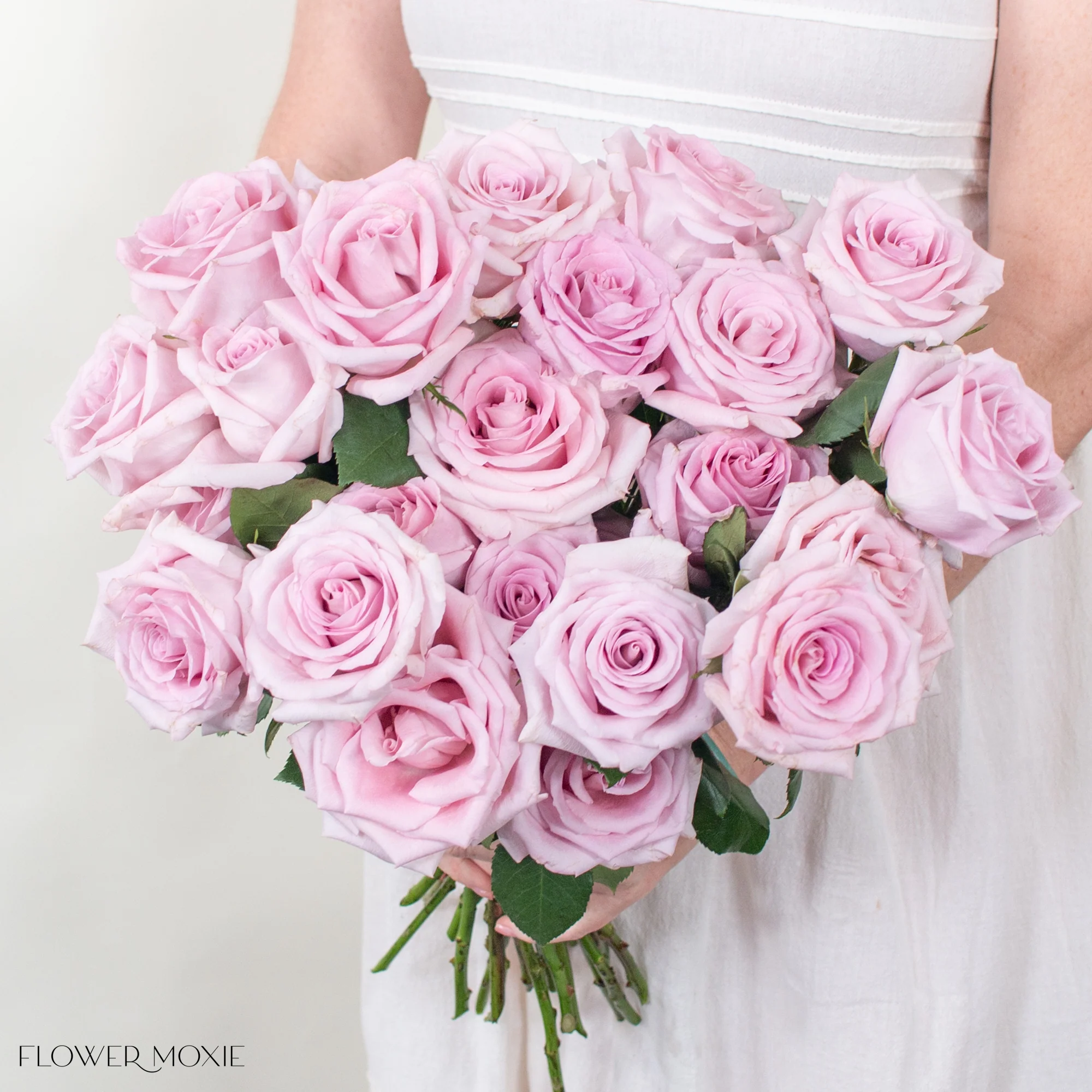 Light Mauve Fair Lady Rose - Image 2