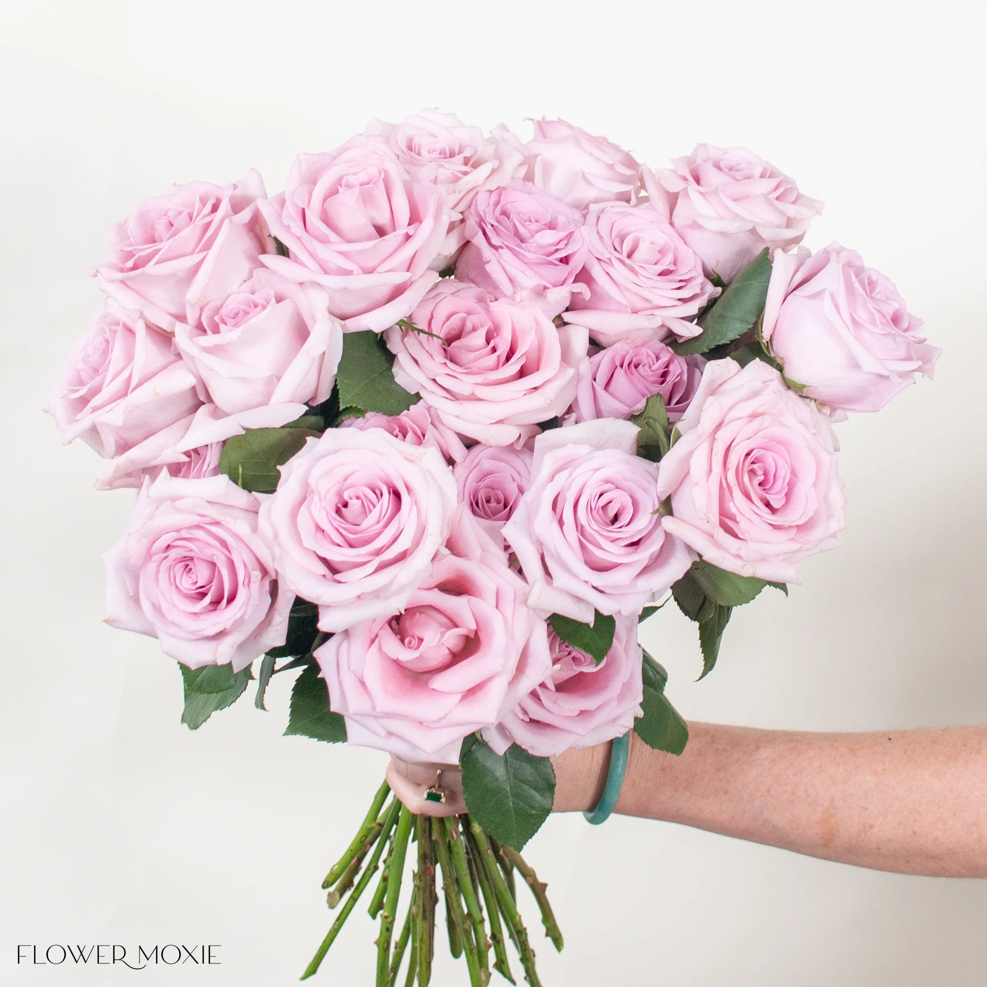 Light Mauve Fair Lady Rose - Image 3