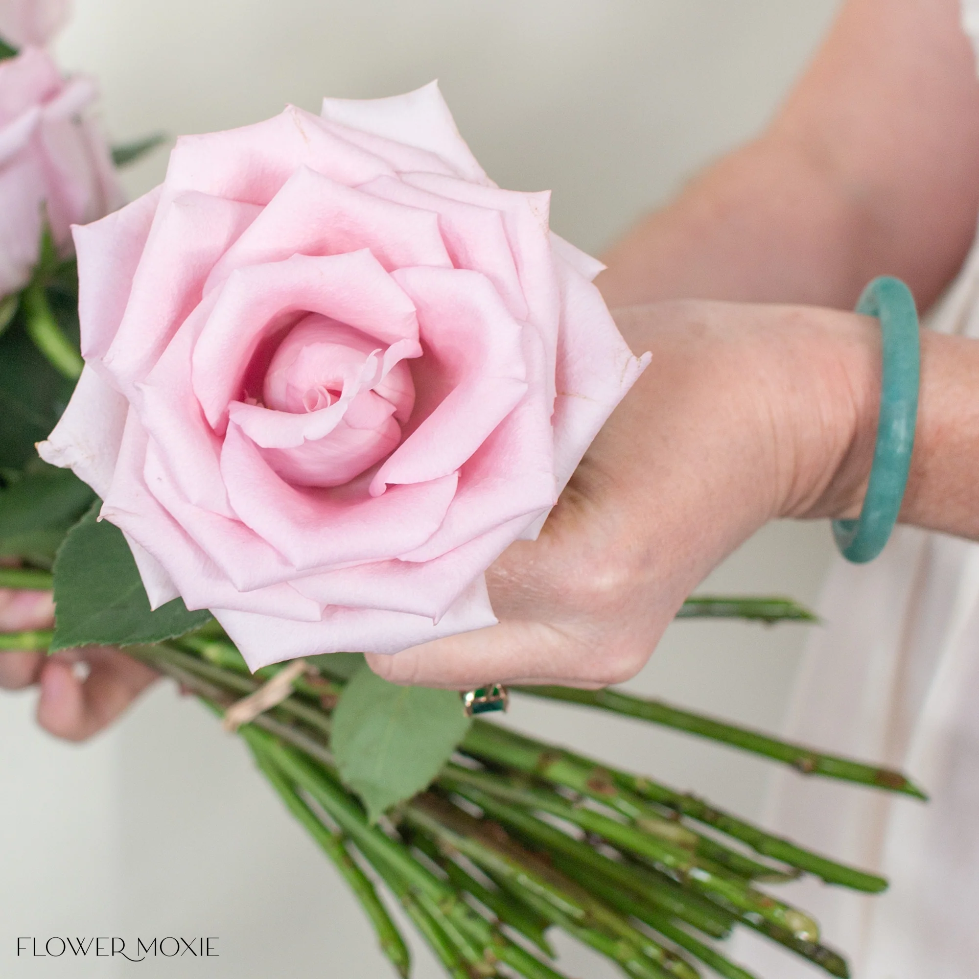 Light Mauve Fair Lady Rose - Image 4