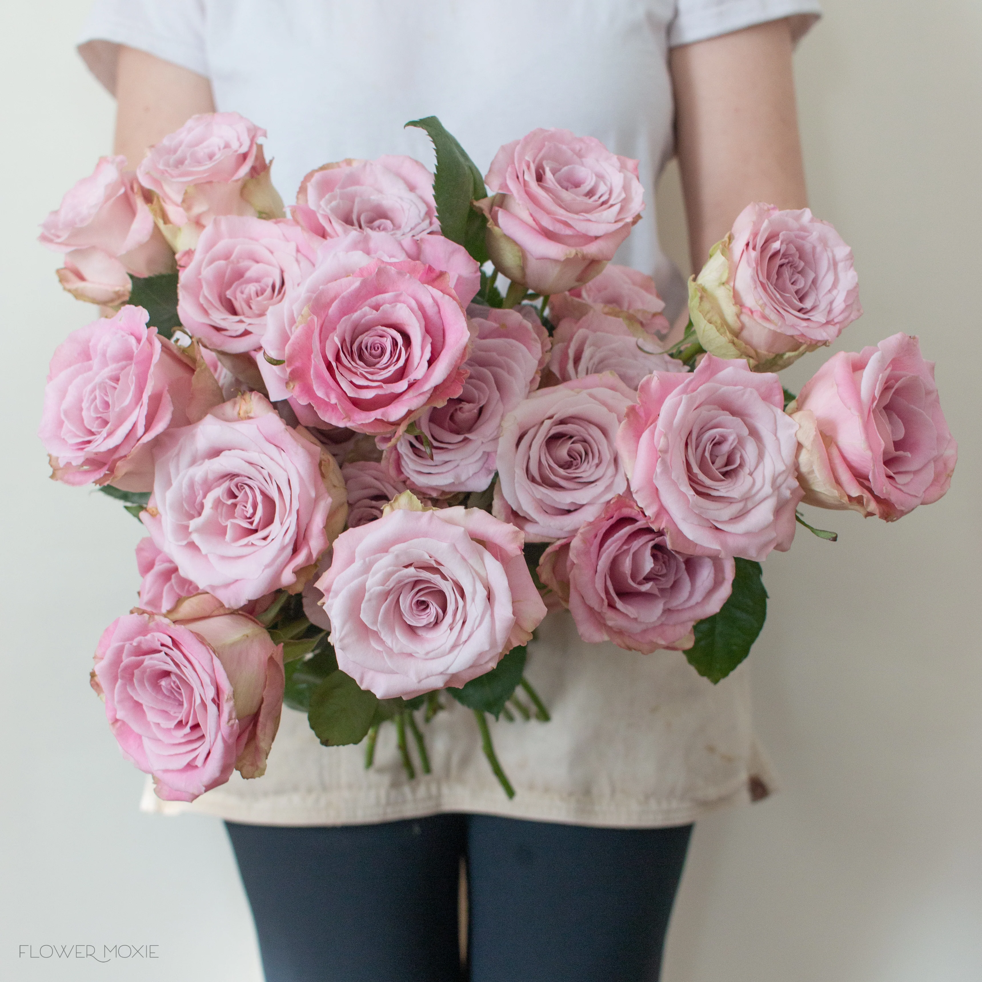Mauve Faith Rose - Image 3