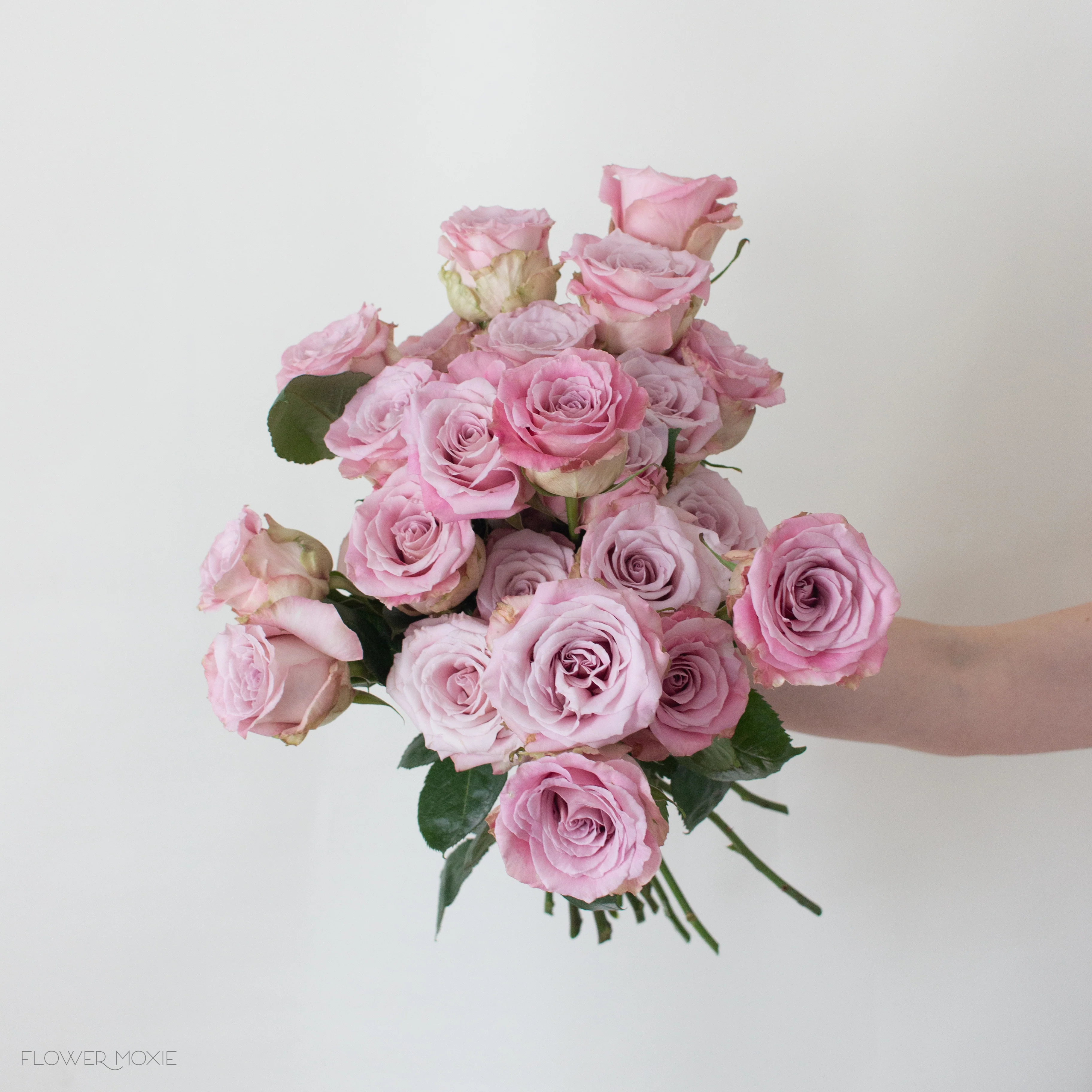 Mauve Faith Rose - Image 9