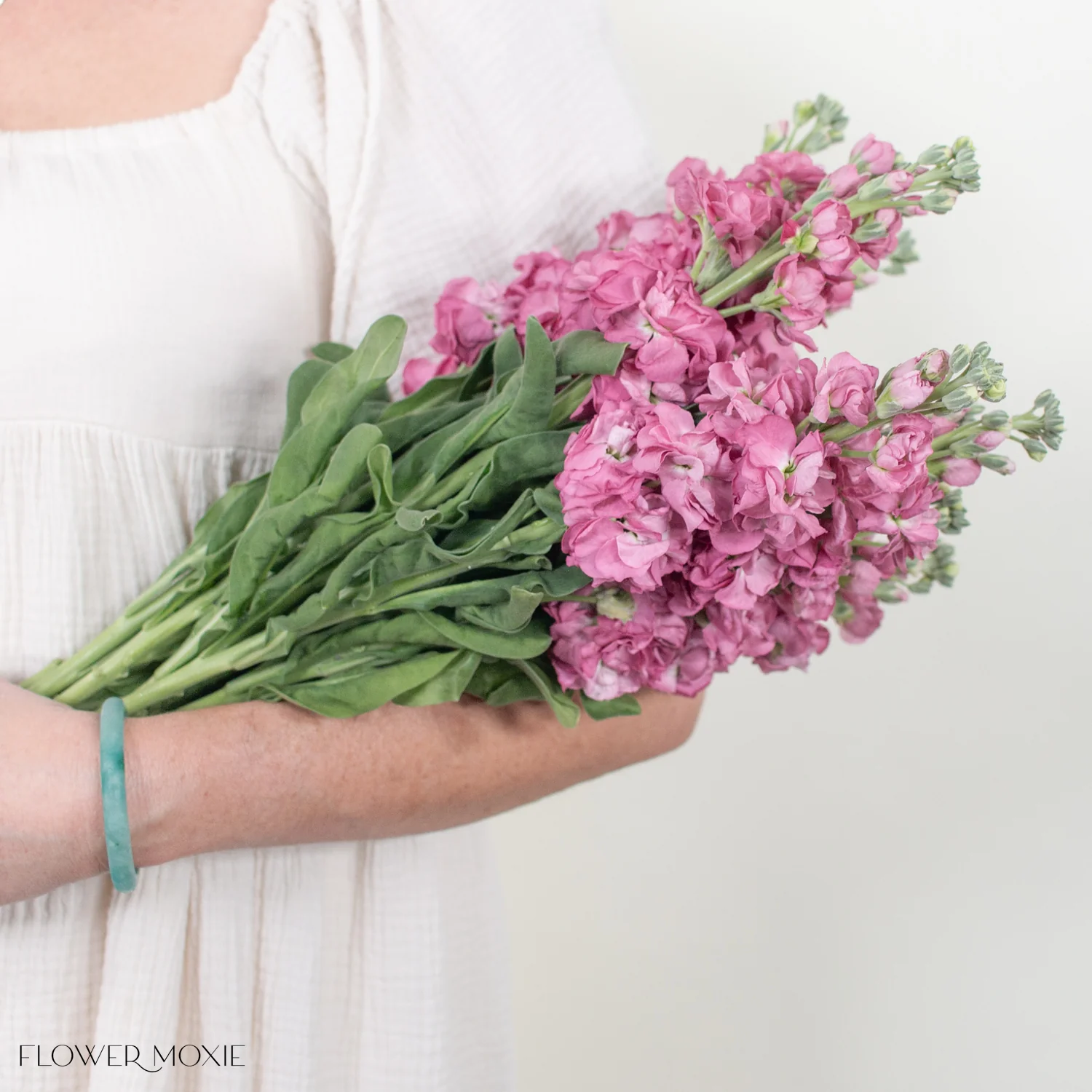 Mauve Stock Flower - Image 3