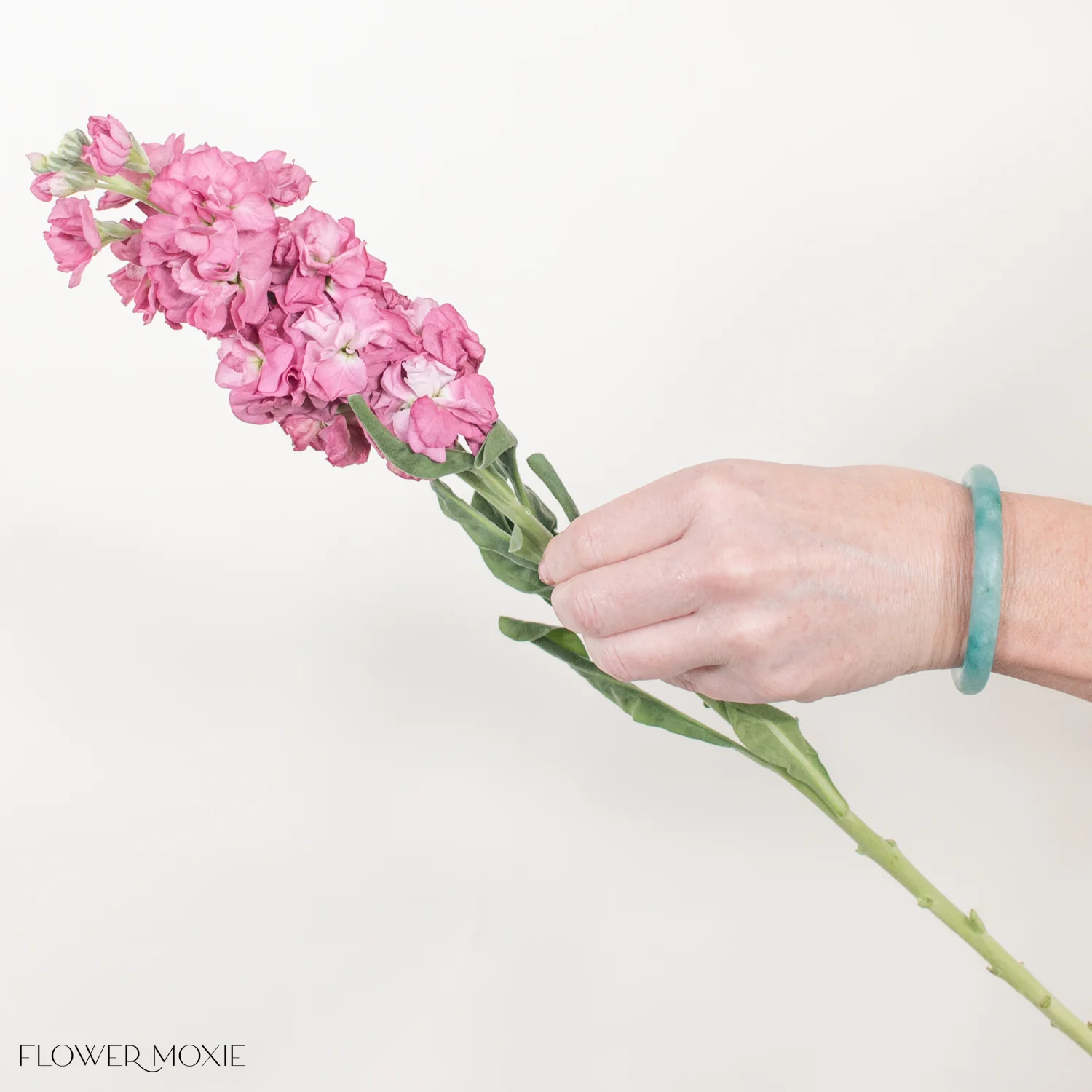 Mauve Stock Flower - Image 4