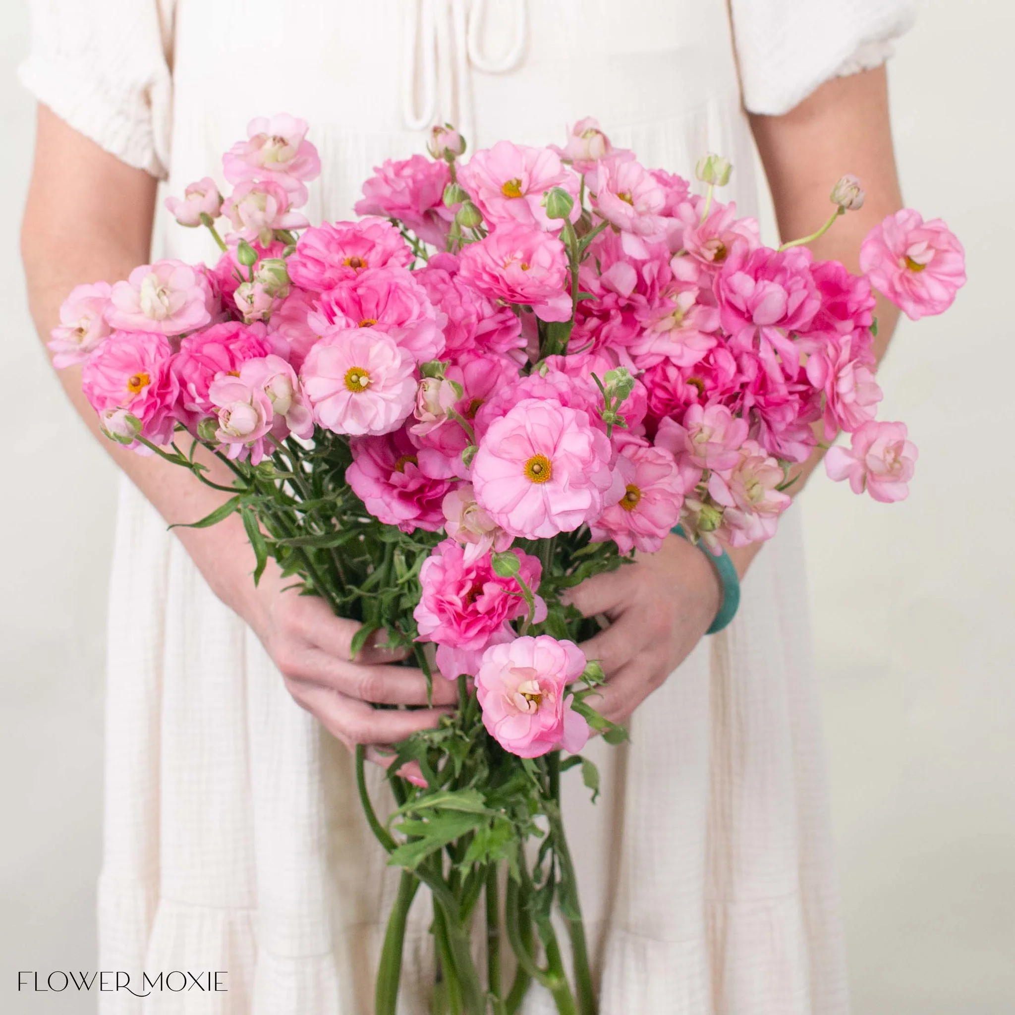 Medium Pink Butterfly Ranunculus - Image 3