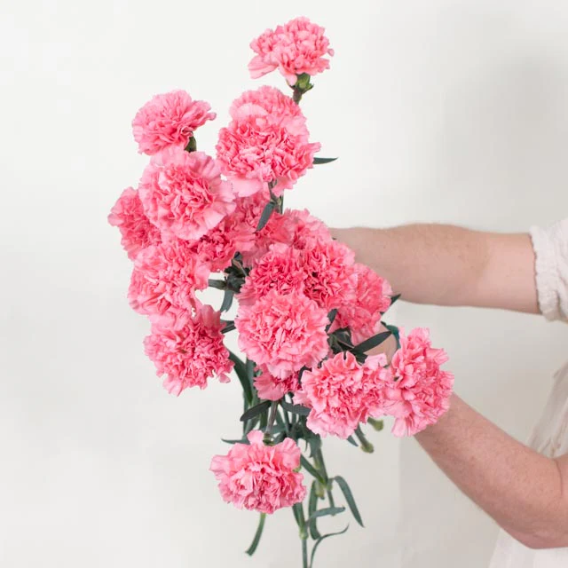 Medium Pink Carnation Flower - Image 3