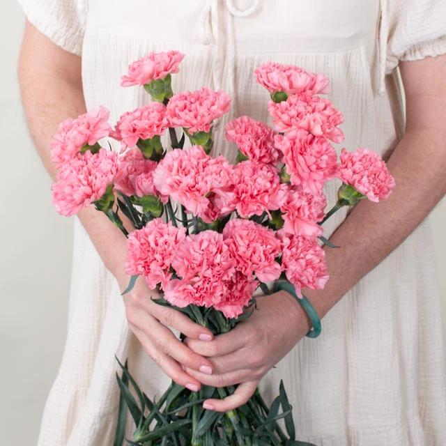 Medium Pink Carnation Flower - Image 5