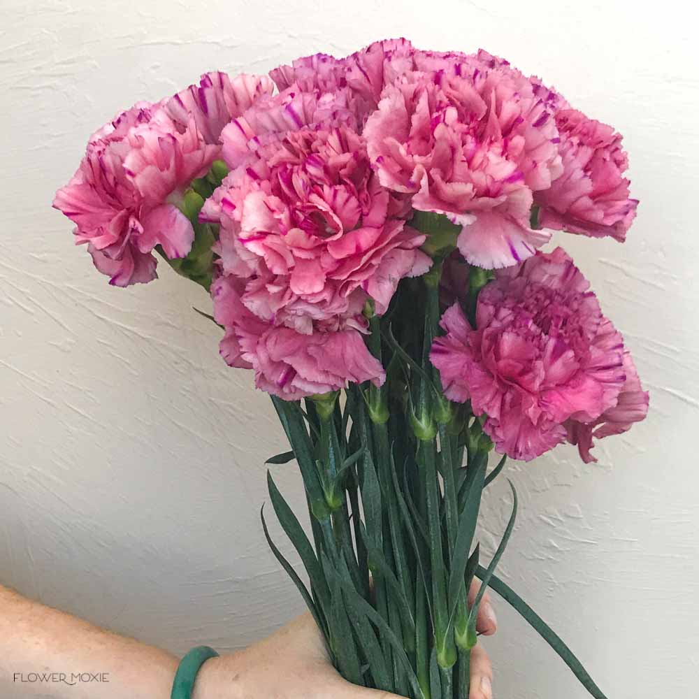 Medium Pink Carnation Flower - Image 8