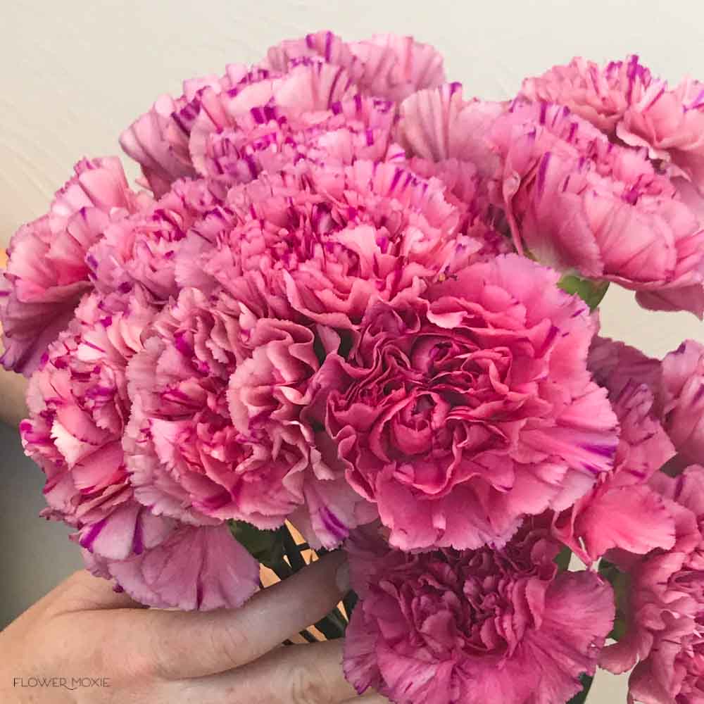 Medium Pink Carnation Flower - Image 9