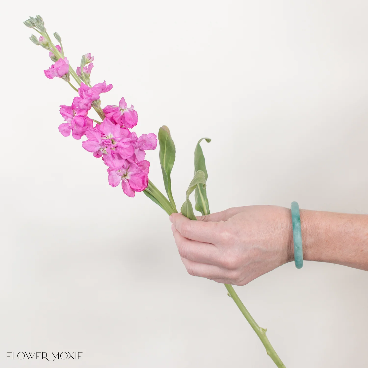 Medium Pink Stock Flower - Image 3