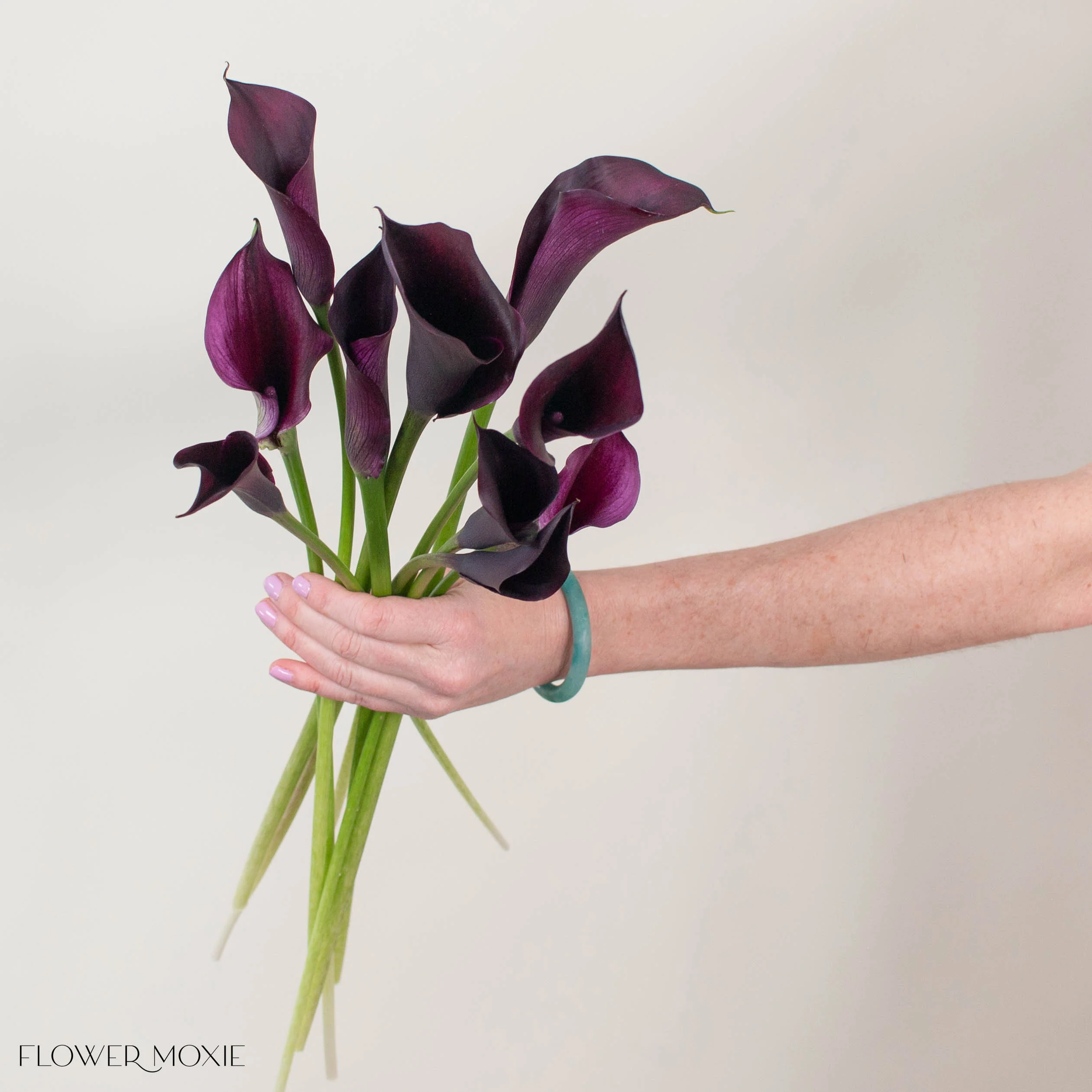Midnight Purple Mini Calla Lily Flower - Image 4