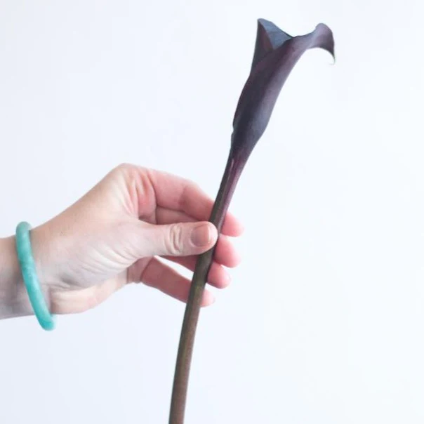 Midnight Purple Mini Calla Lily Flower - Image 6