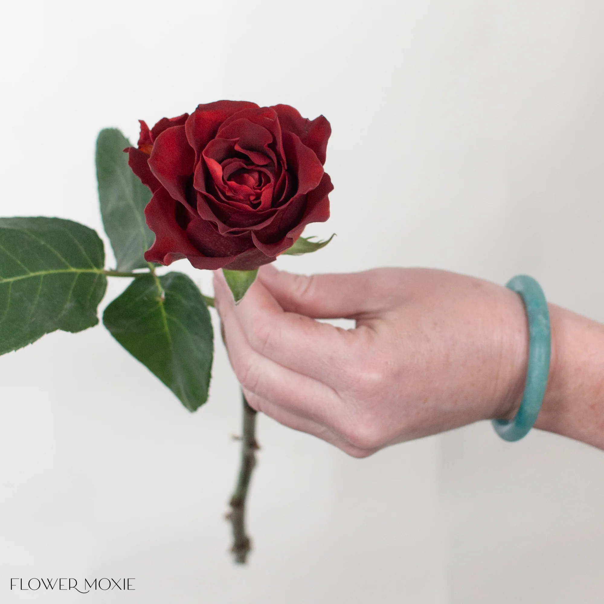 Mocha Brown Espresso Rose - Image 2