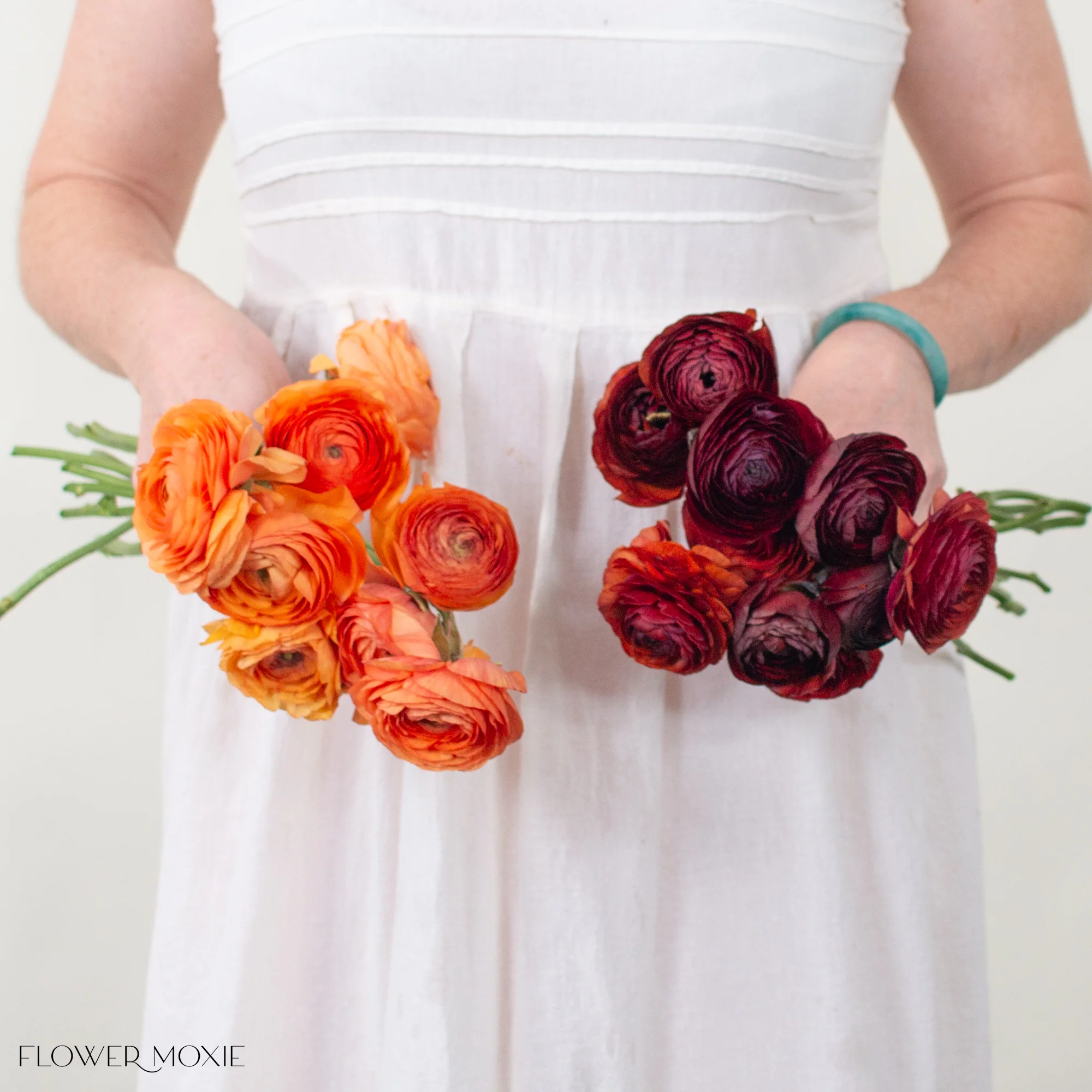 Orange and Chocolate Ranunculus Mixed Box - Image 3