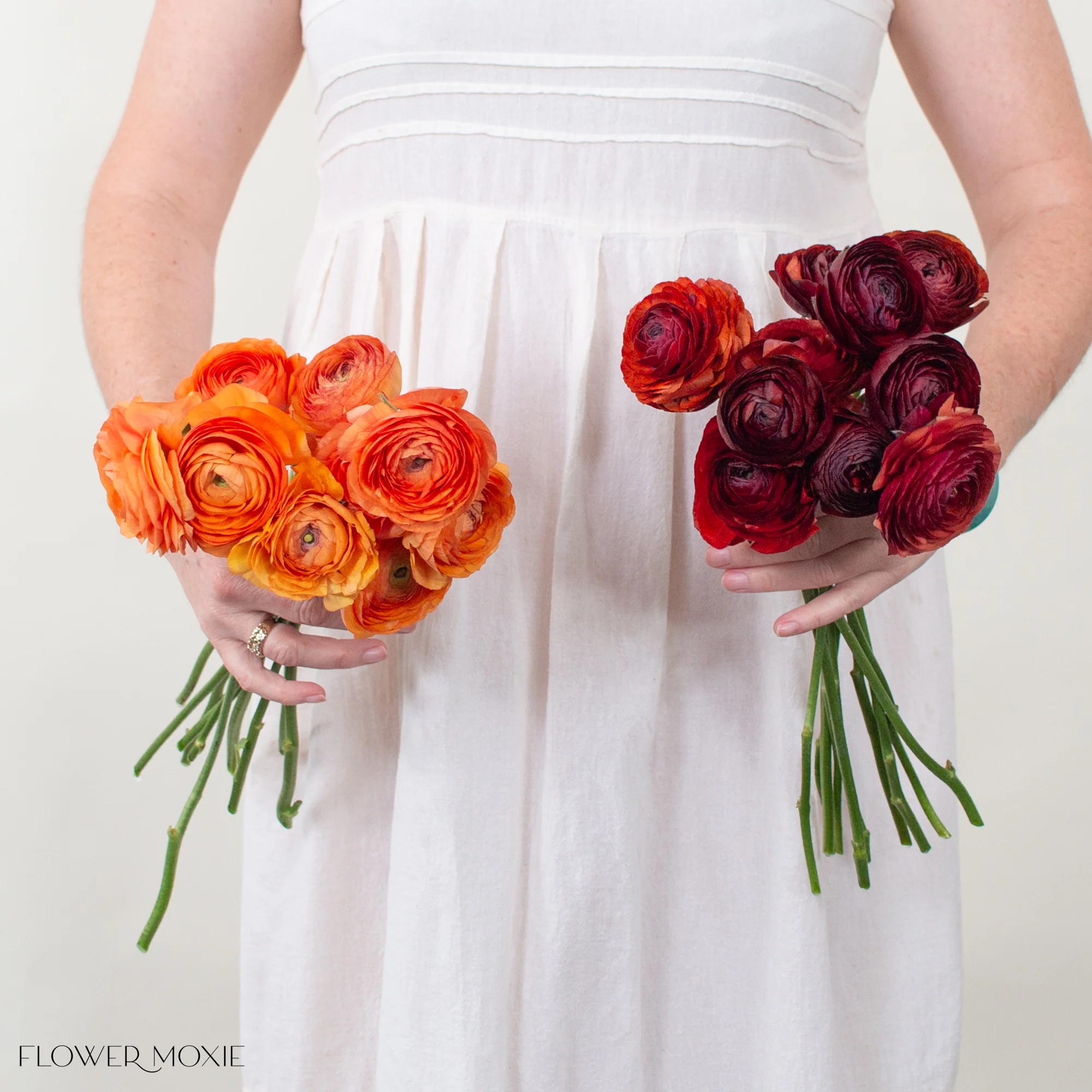 Orange and Chocolate Ranunculus Mixed Box - Image 4
