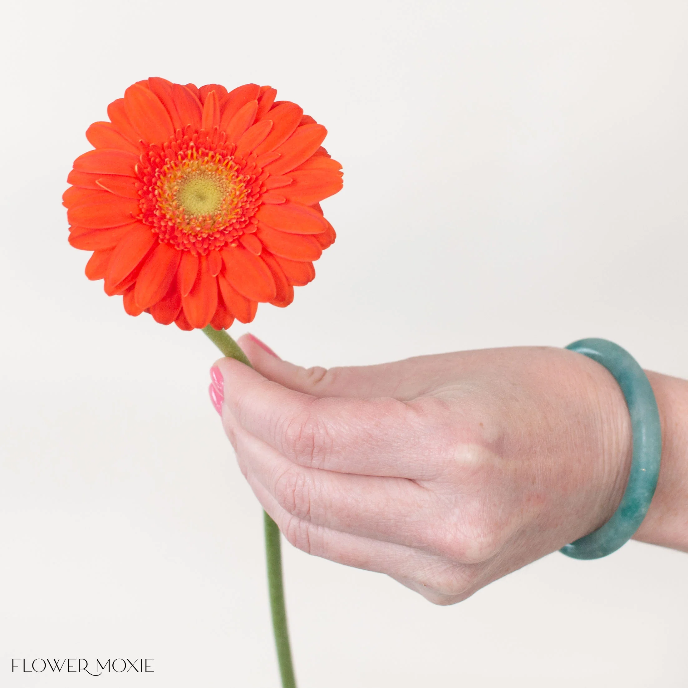 Orange Mini Gerbera Daisies - Image 5