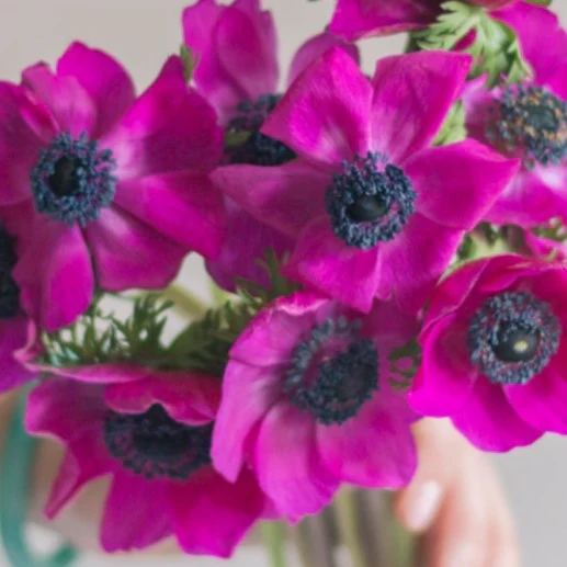 Build Your Own Ranunculus and Anemone Box (6 bunch minimum) - Image 23
