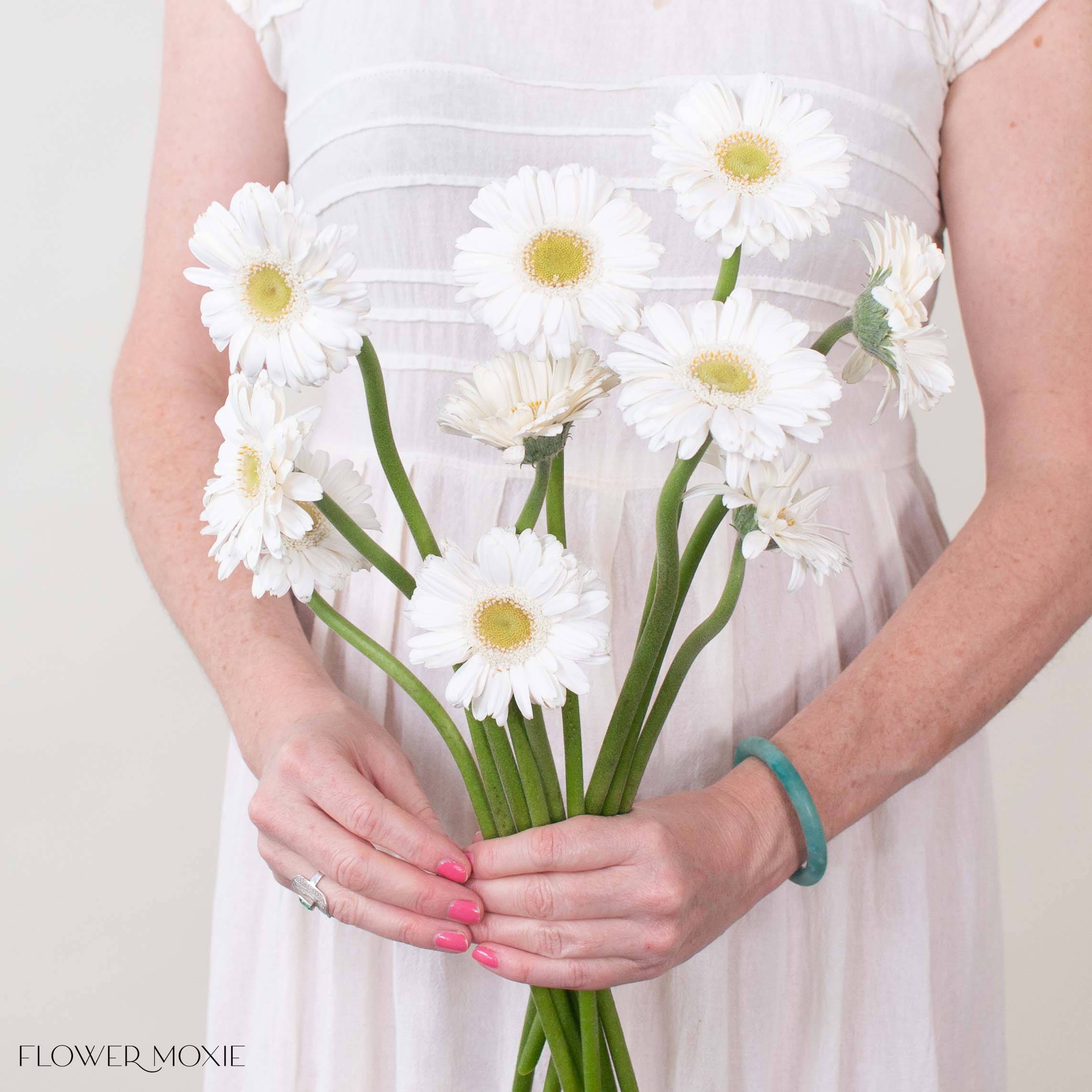 White Mini Gerbera Daisies – Green Center