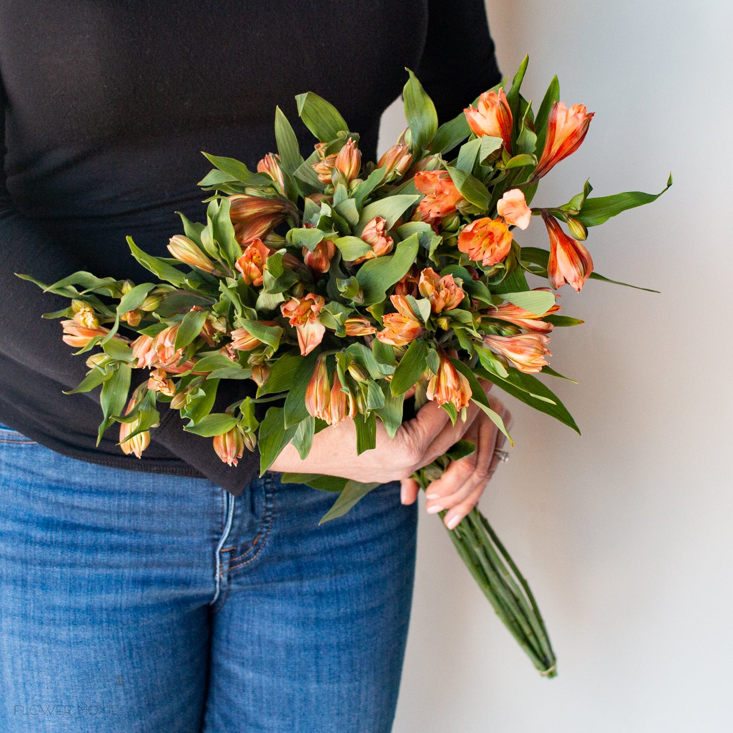 Orange Alstroemeria Flower - Image 3