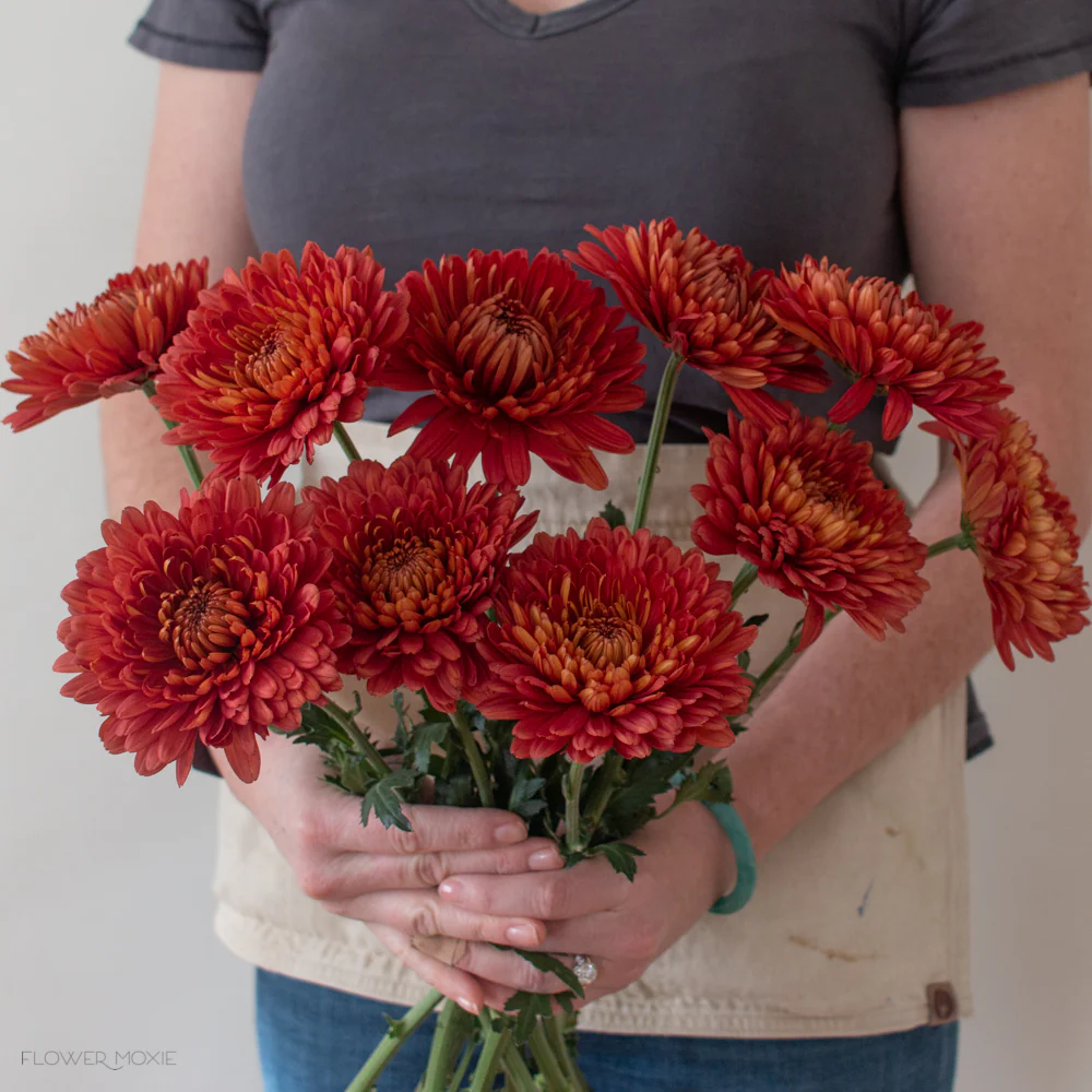 FALL ONLY - Orange Bronze Cremone Flower - Image 4