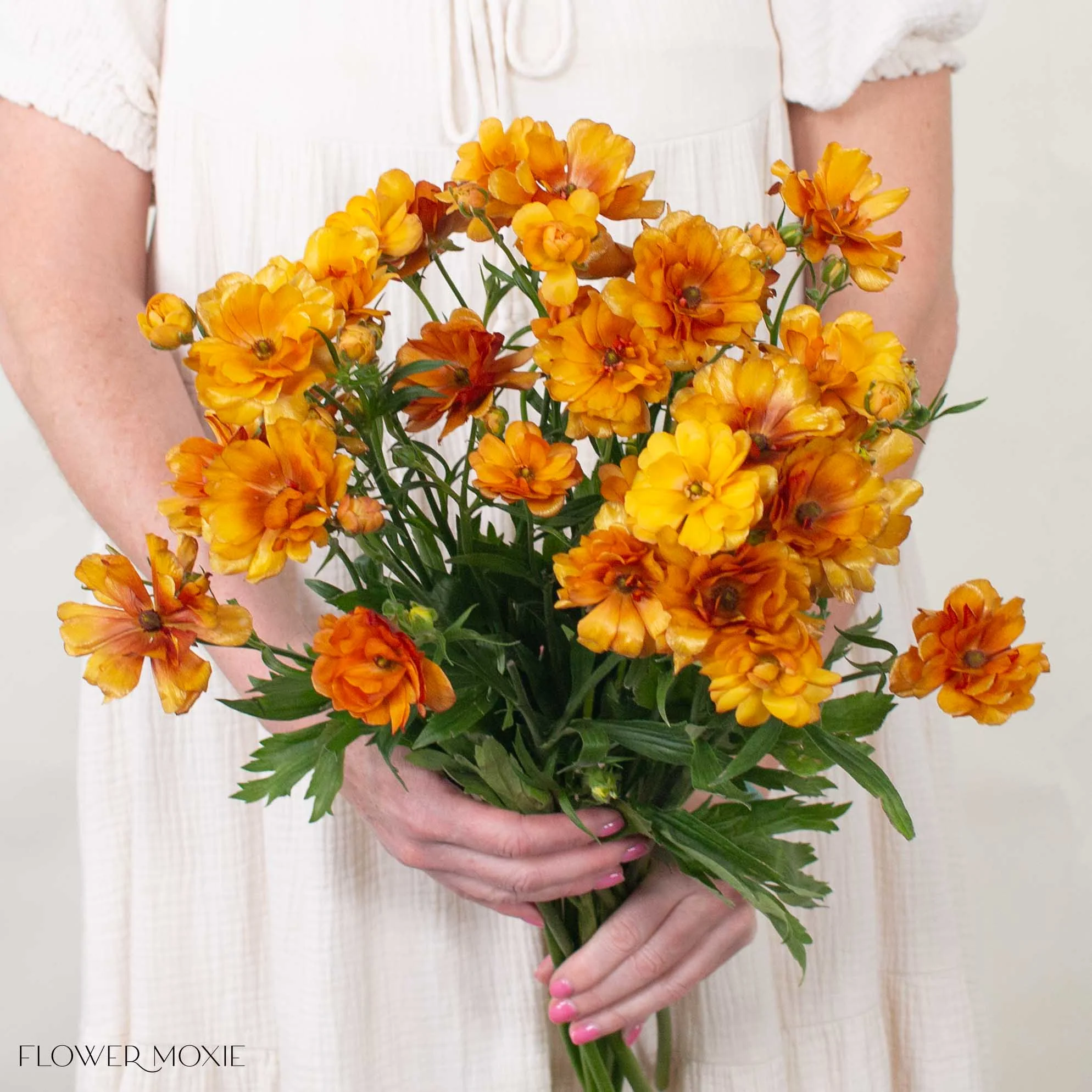 Sunset Orange Butterfly Ranunculus - Image 3
