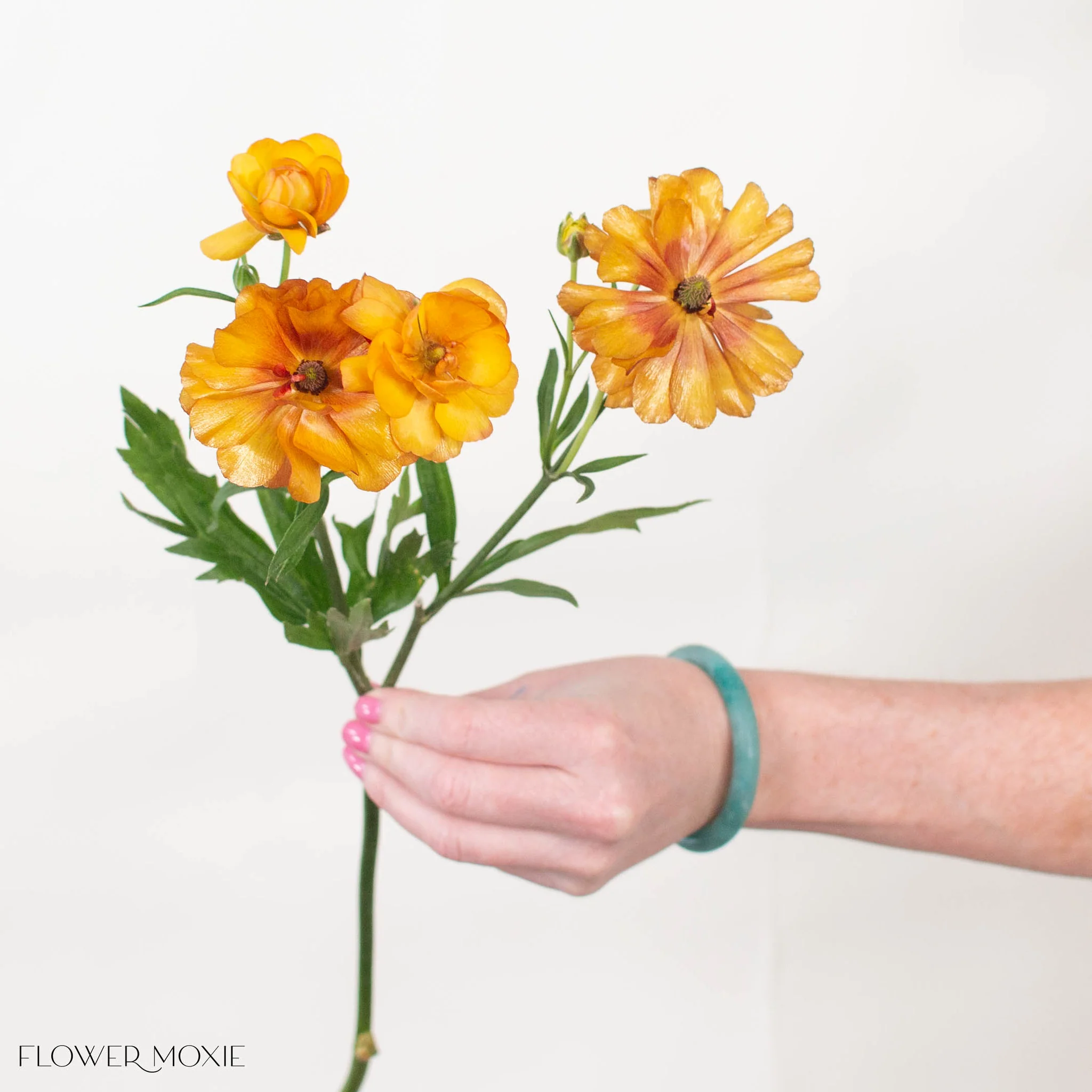 Sunset Orange Butterfly Ranunculus - Image 5