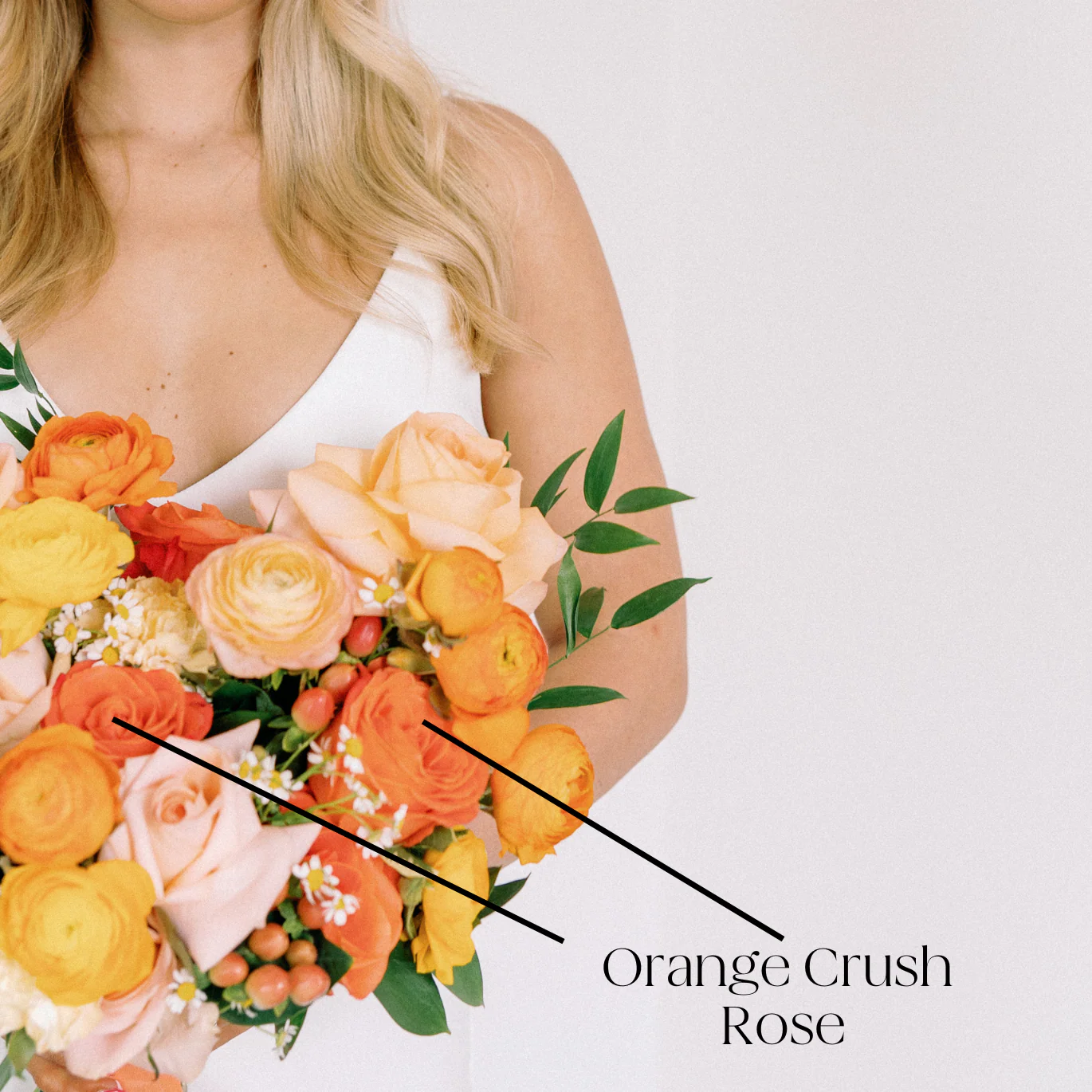 Orange Crush Rose - Image 2