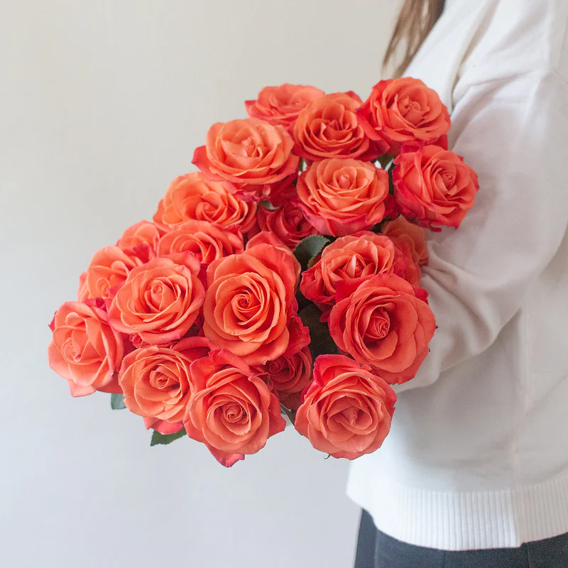 Orange Crush Rose - Image 5