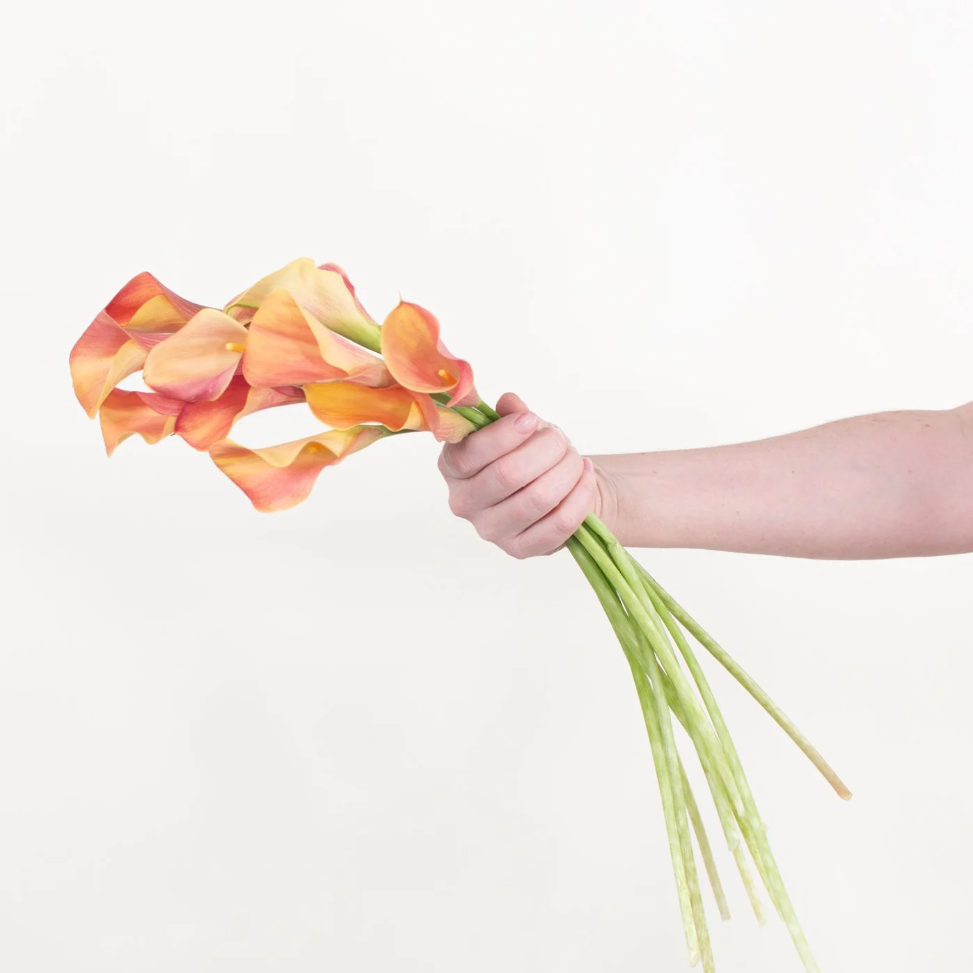 Orange Mini Calla Lily Flower - Image 3