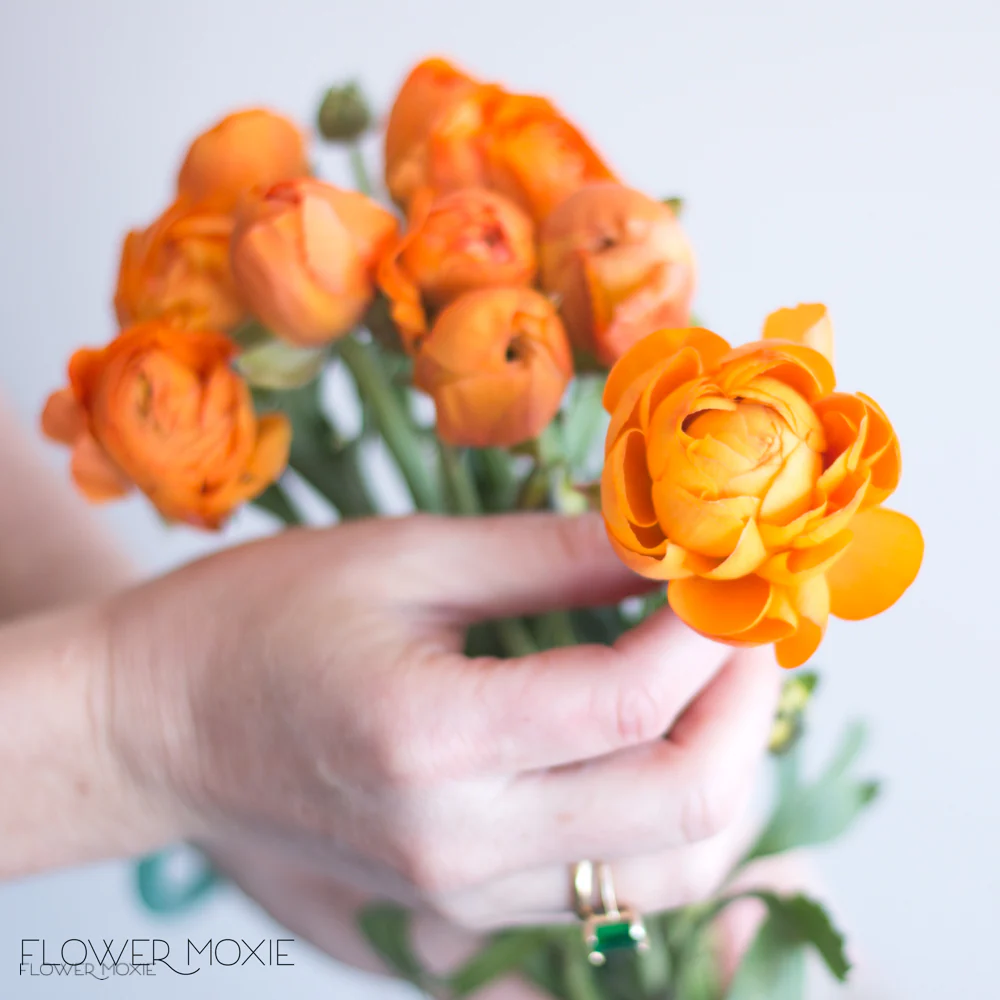 Orange Ranunculus Flower - Image 4