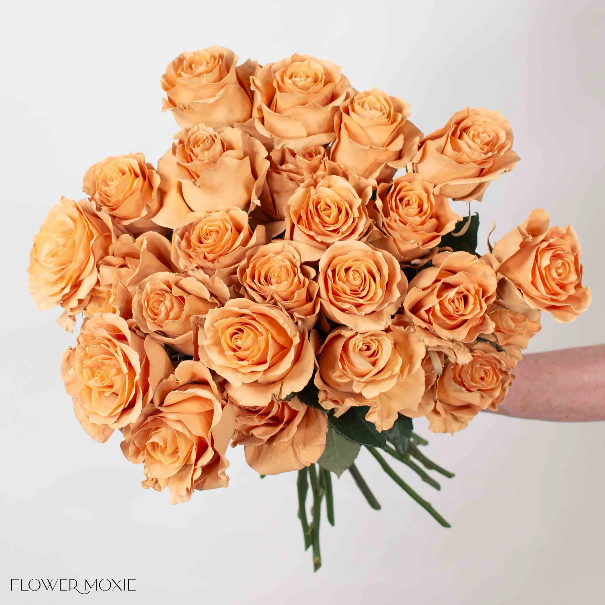 Painted Brown Toffee Novelty Rose - Image 3