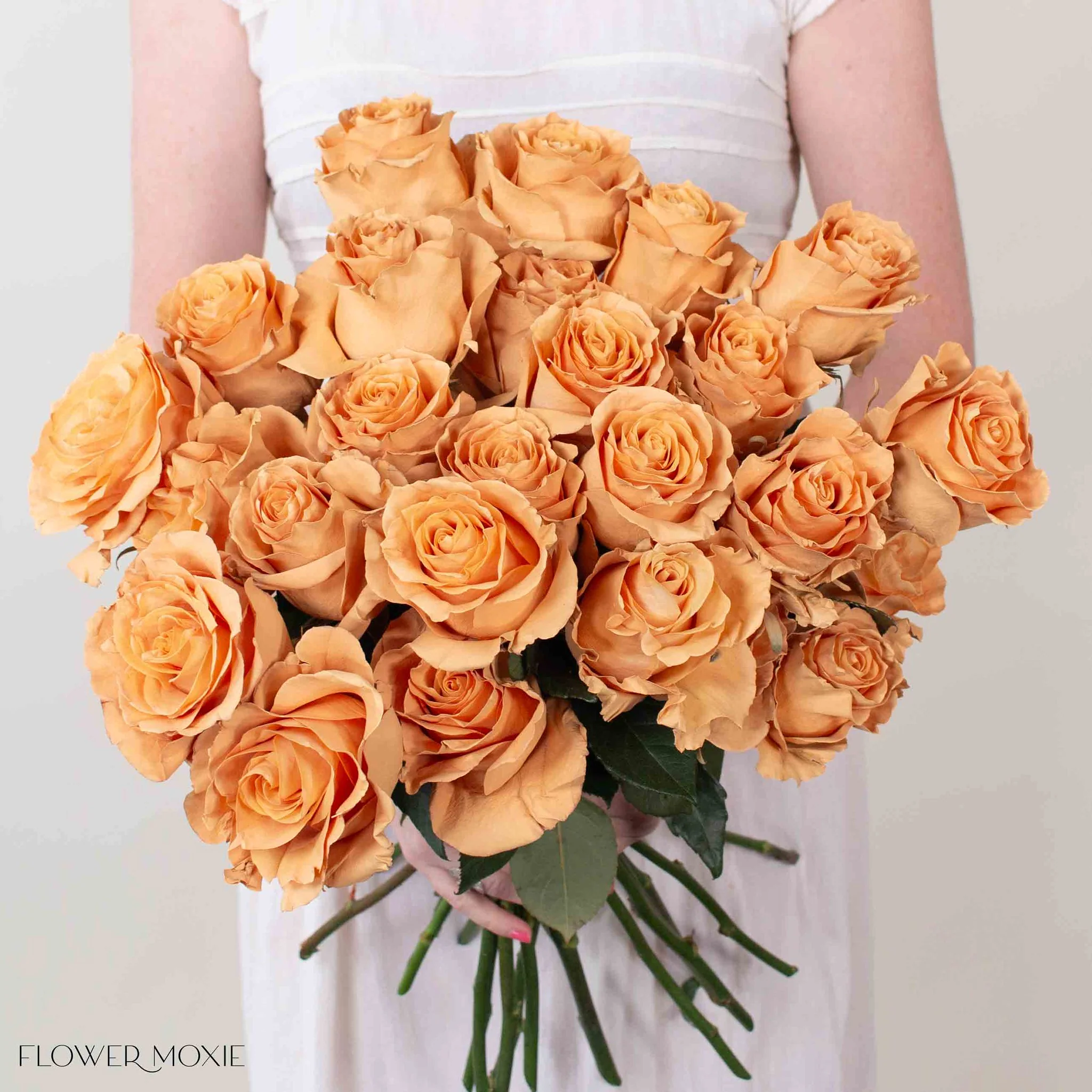 Painted Brown Toffee Novelty Rose - Image 4