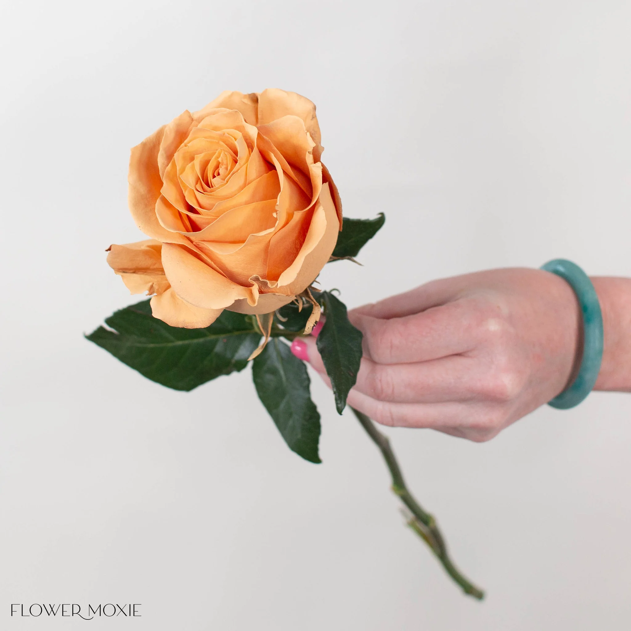 Painted Brown Toffee Novelty Rose - Image 5