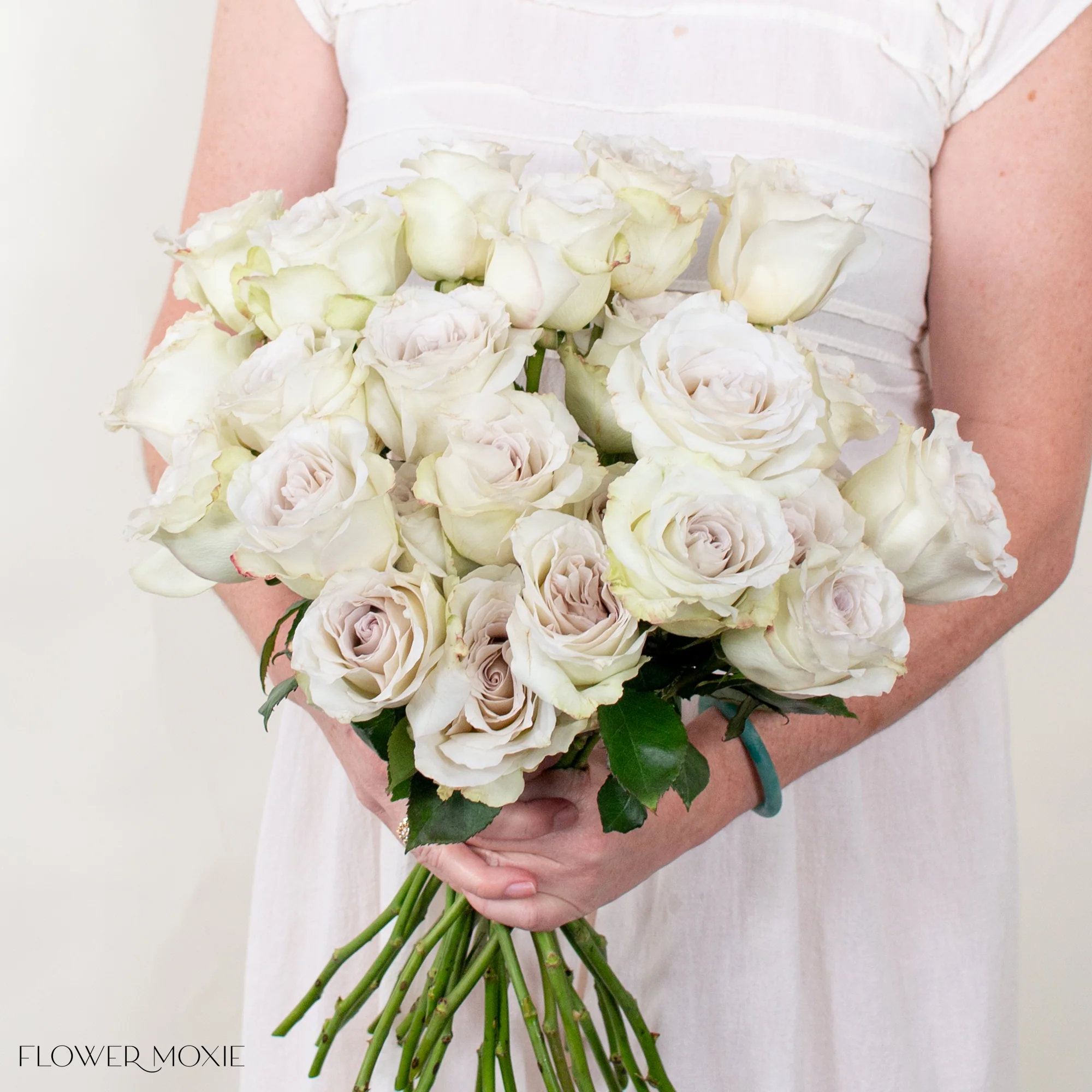 Pale Lavender Early Grey Rose - Image 3